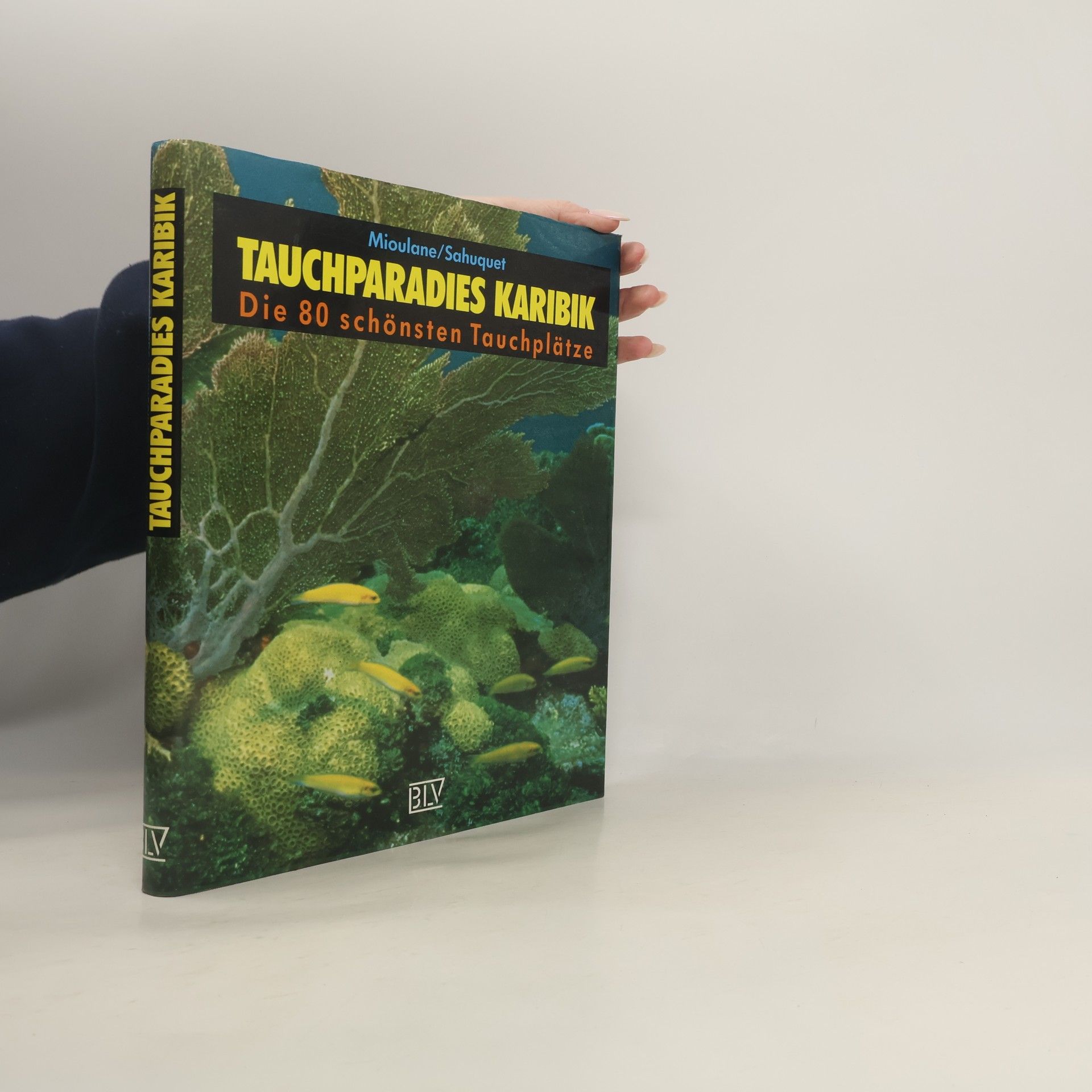 Patrick Mioulane Tauchparadies Karibik