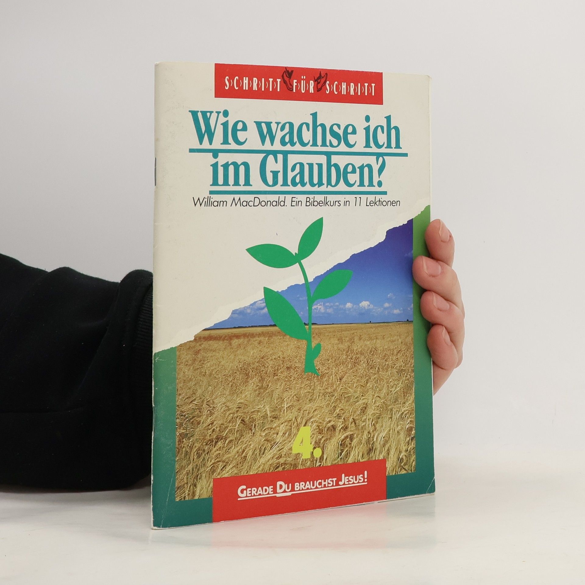 Auteurscollectief Wie wachse ich im Glauben?