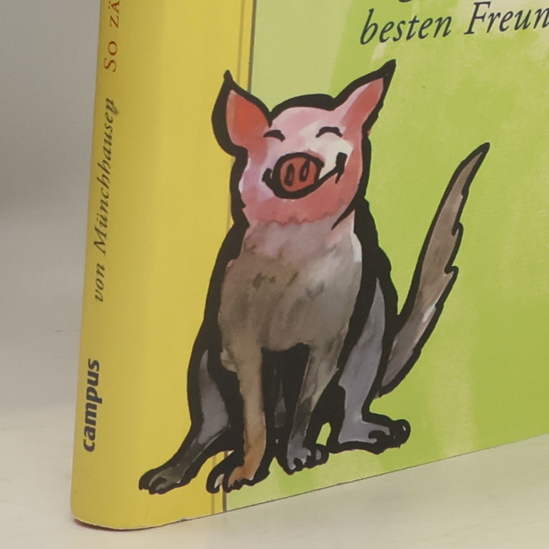 Marco von Münchhausen So zähmen Sie Ihren inneren Schweinehund!