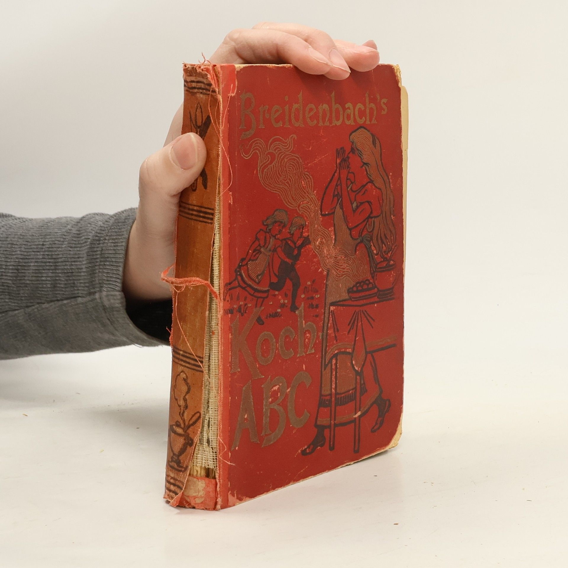 Maria Ludolfs Breidenbach's Koch-ABC der bürgerlichen Küche