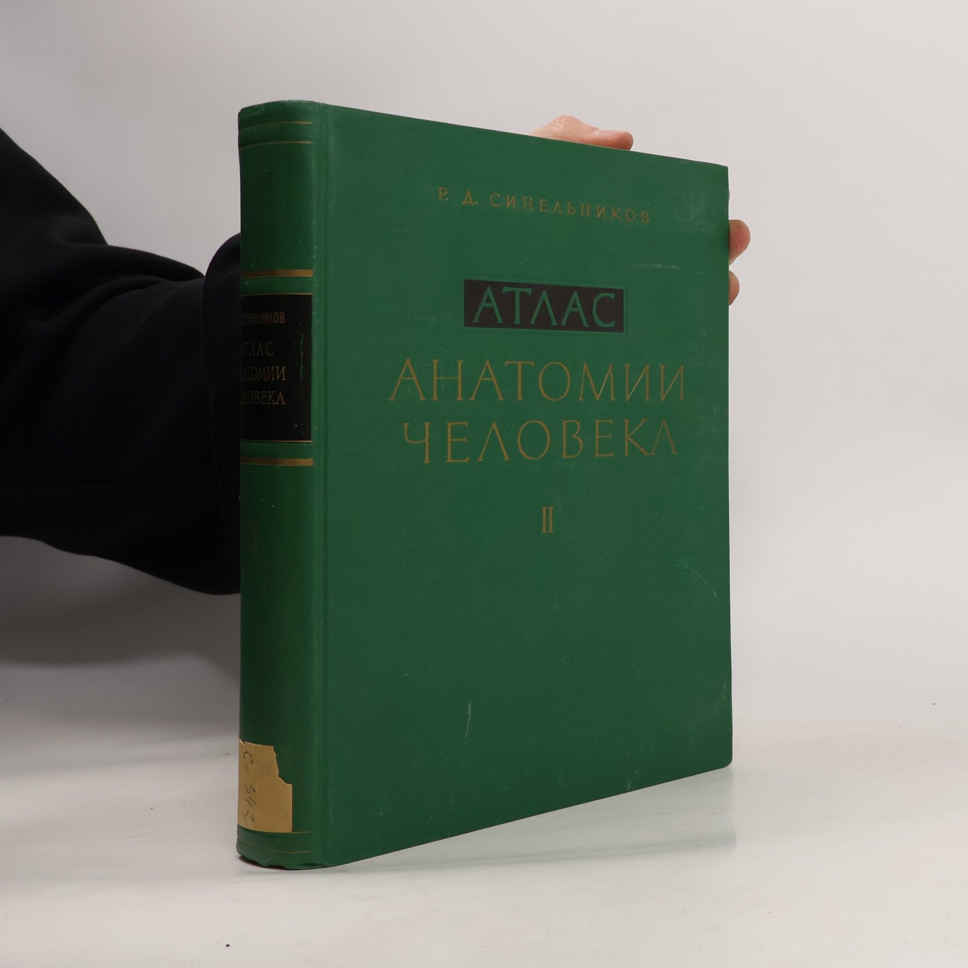 R. D. Sinělnikov Атлас анатомии человека II