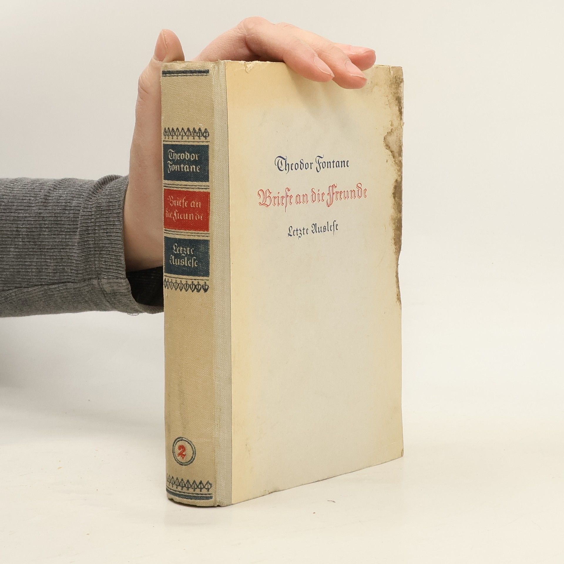 Theodor Fontane Briefe an die Freunde 2