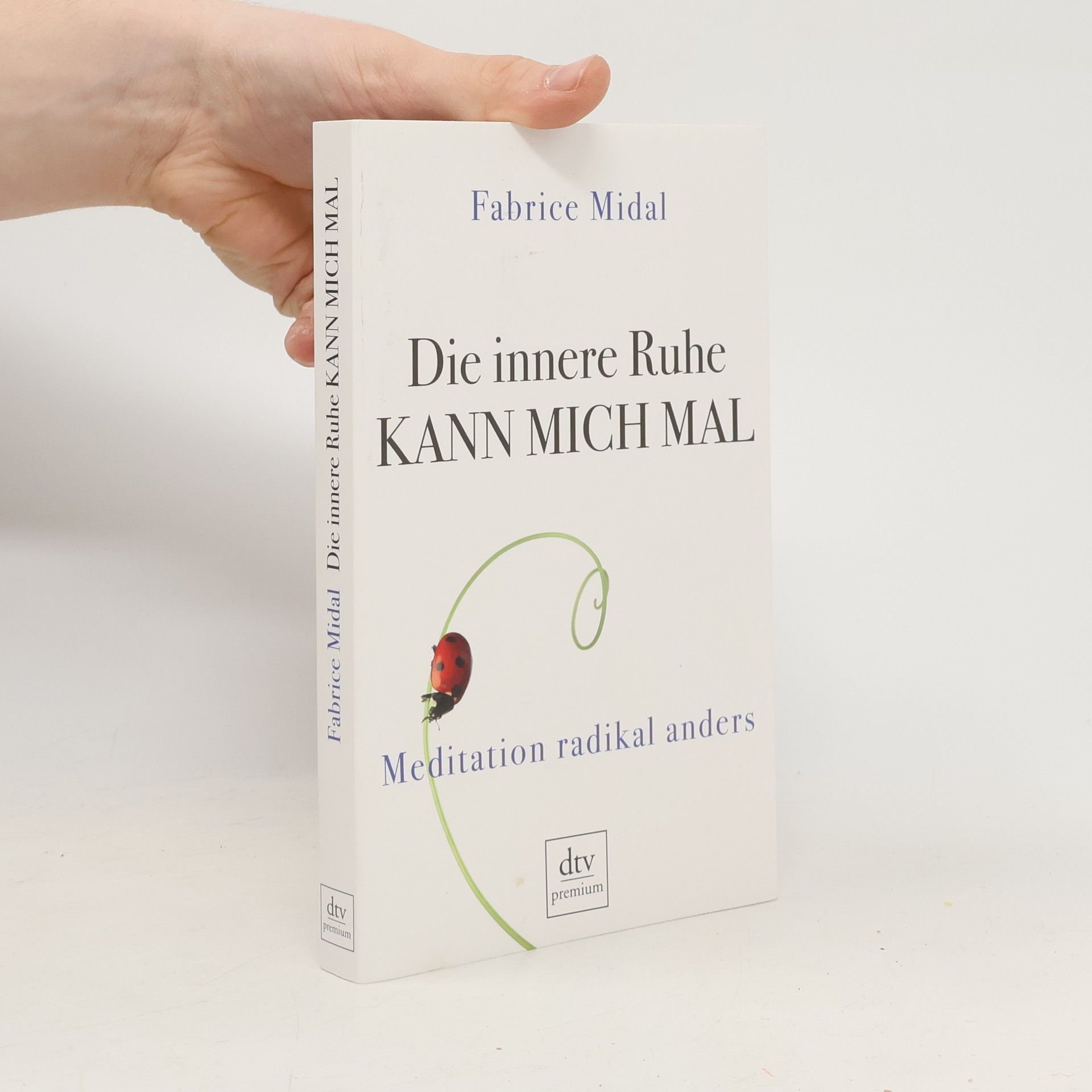 Fabrice Midal Die innere Ruhe kann mich mal