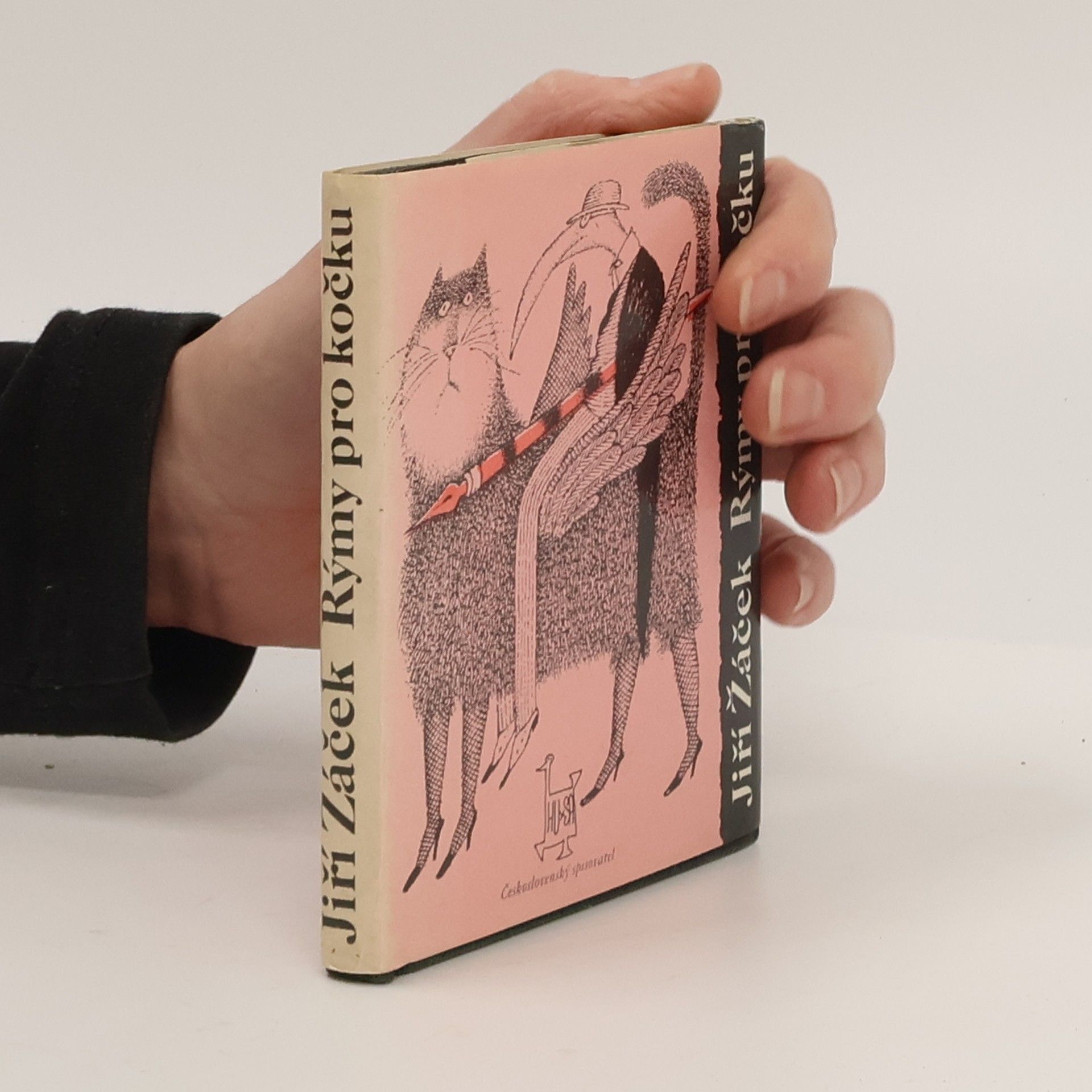 Jiří Žáček Rýmy pro kočku