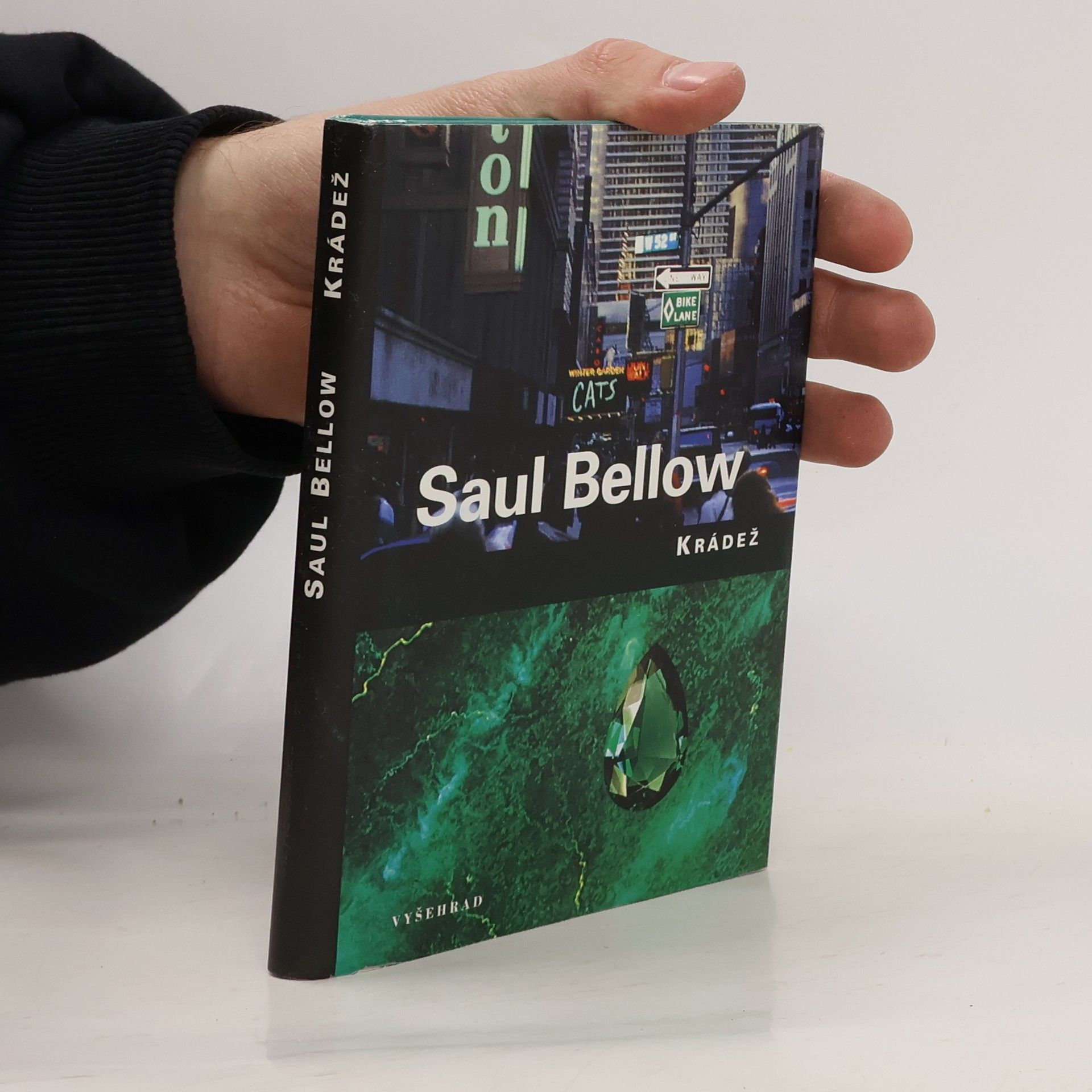Saul Bellow Krádež