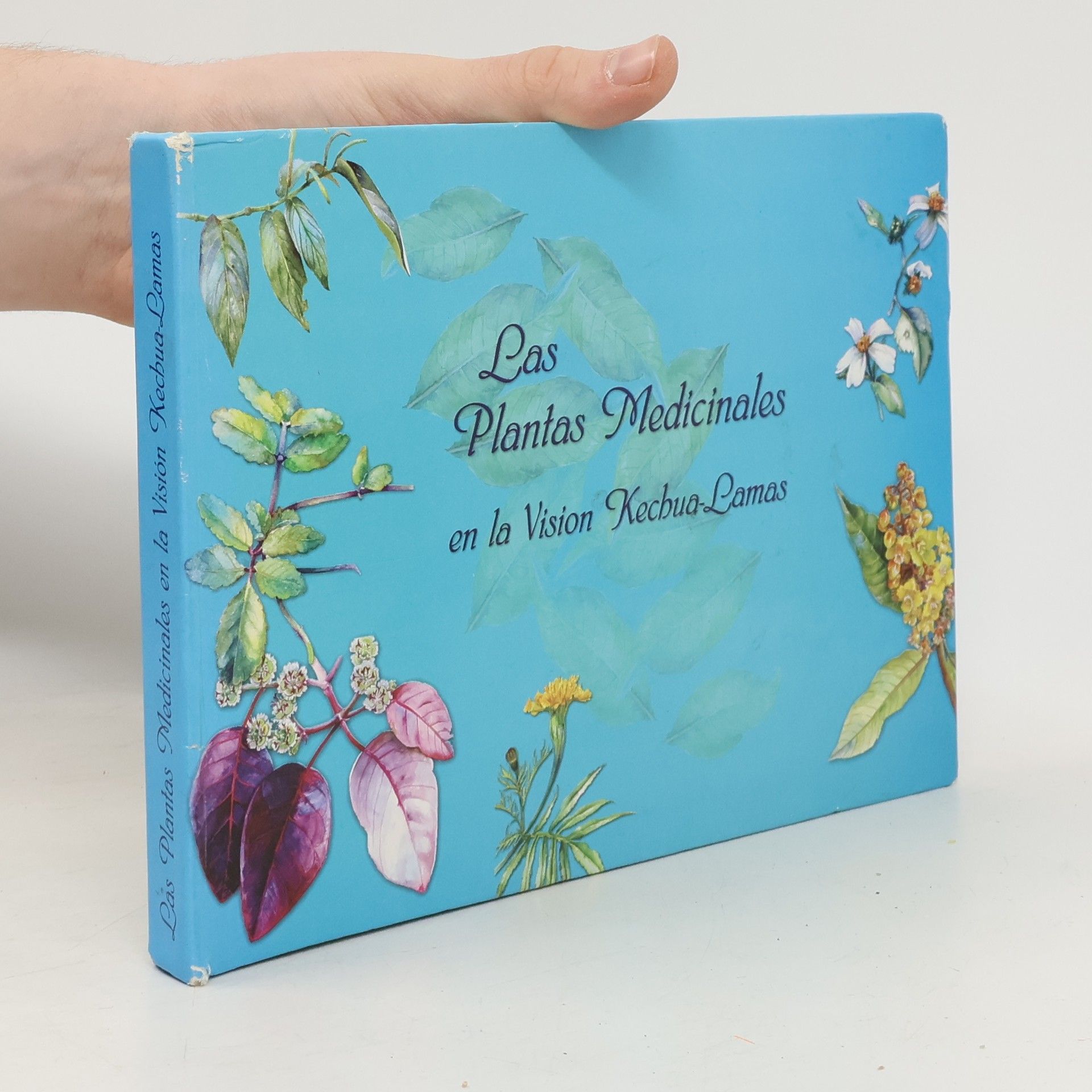 Autores varios Las plantas medicinales en la visión Kechua-Lamas