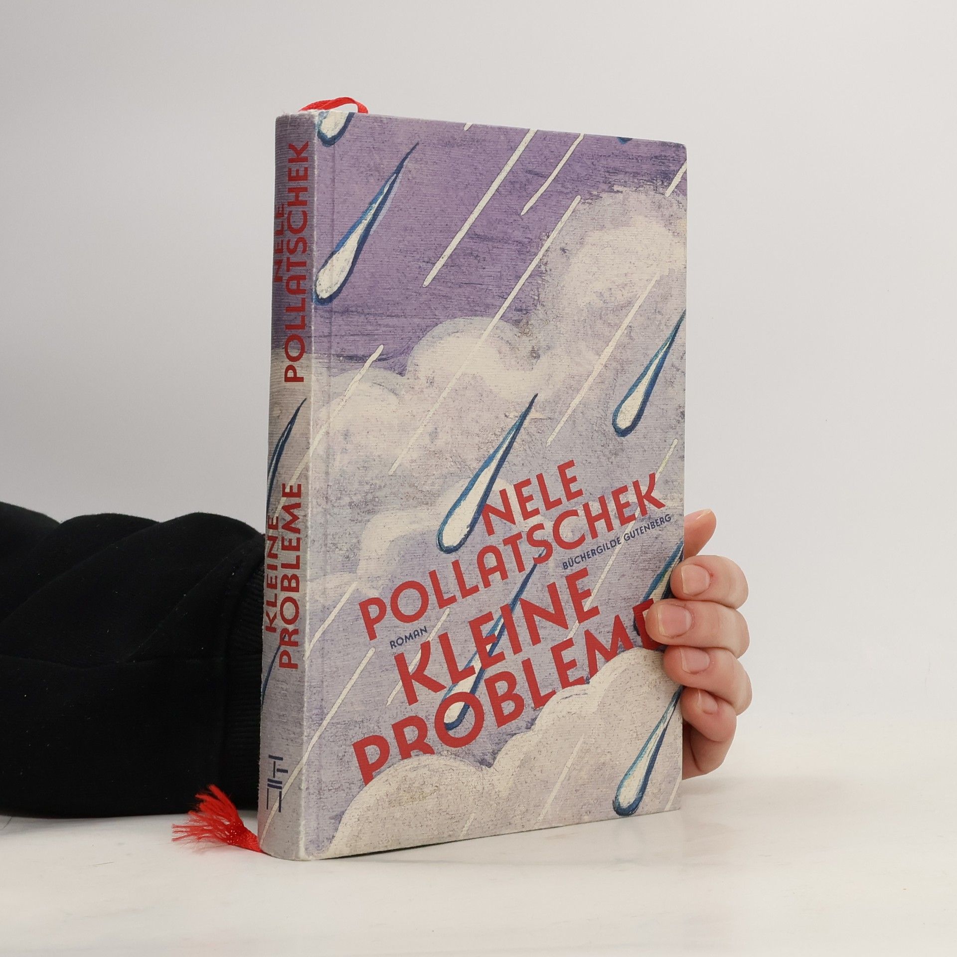 Nele Pollatschek Kleine Probleme