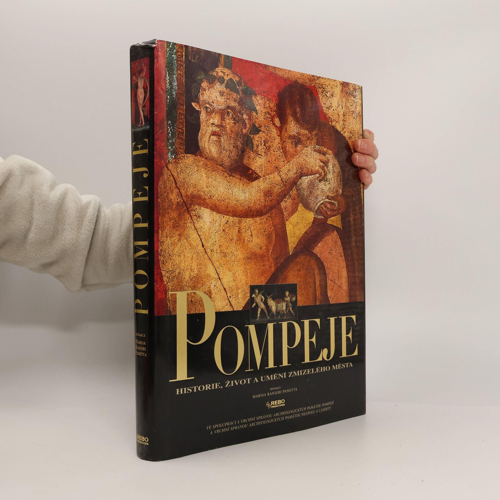 Marisa Ranieri Panetta Pompeje: Historie, život a umění zmizelého města