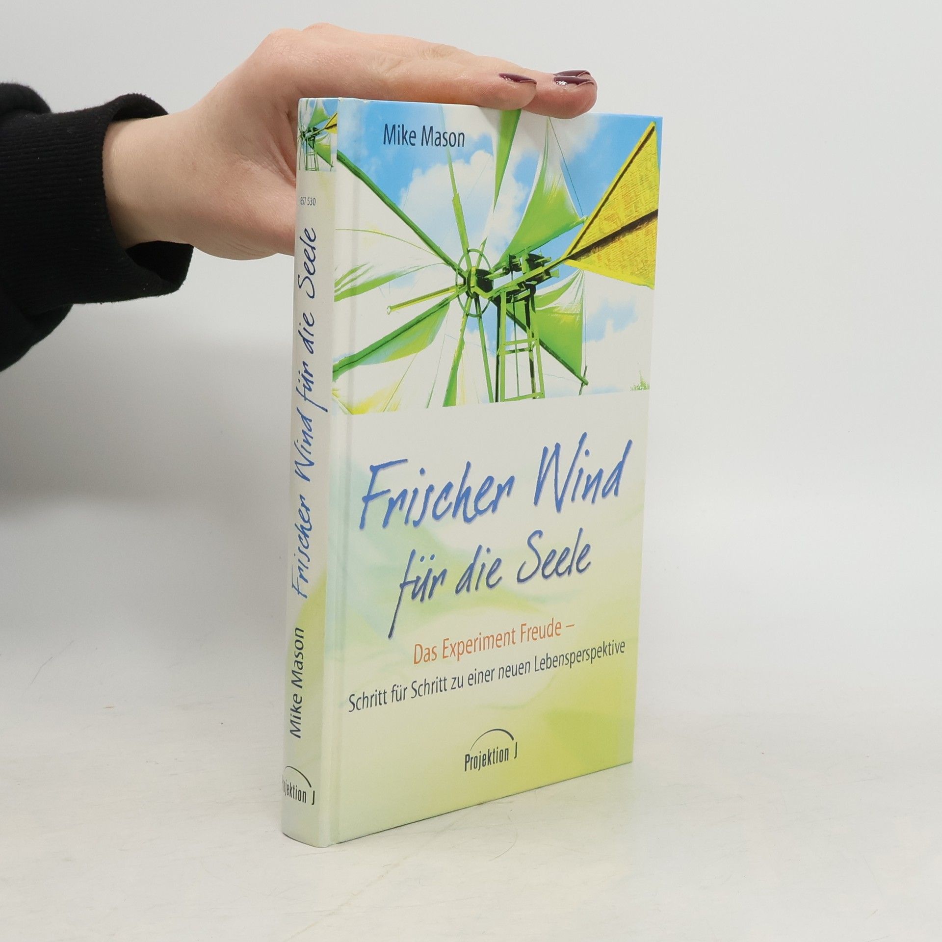 Mike Mason Frischer Wind für die Seele. Das Experiment Freude – Schritt für Schritt zu einer neuen Lebensperspektive