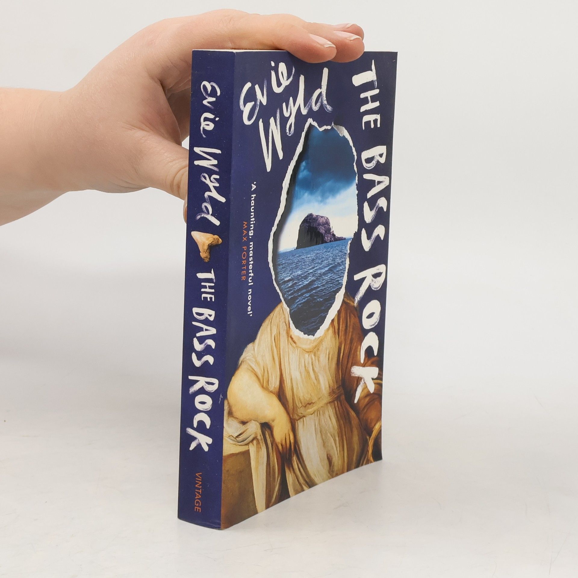 Evie Wyld The Bass Rock