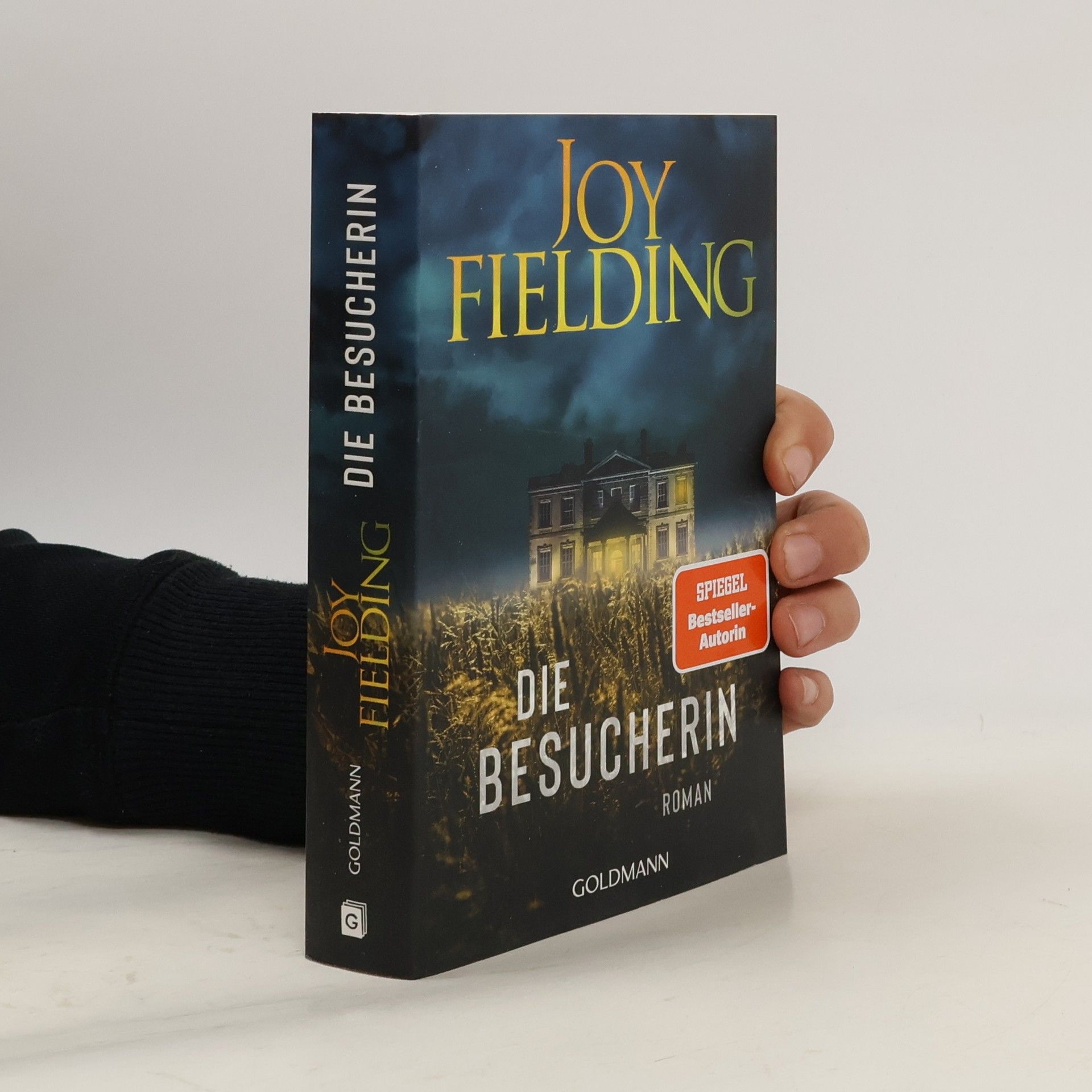 Joy Fielding Die Besucherin