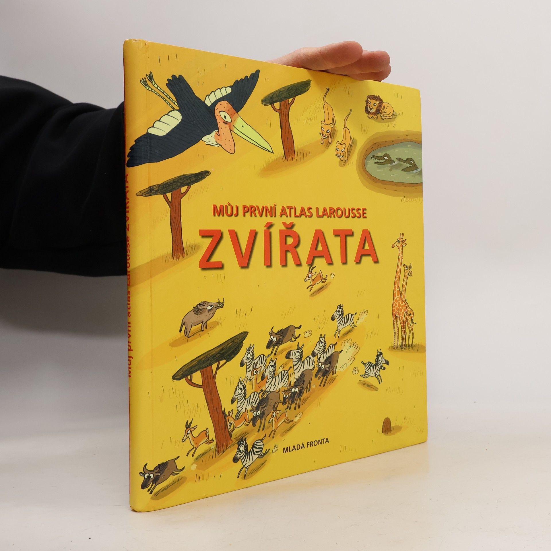 Autorenkollektiv Můj první atlas Larousse. Zvířata