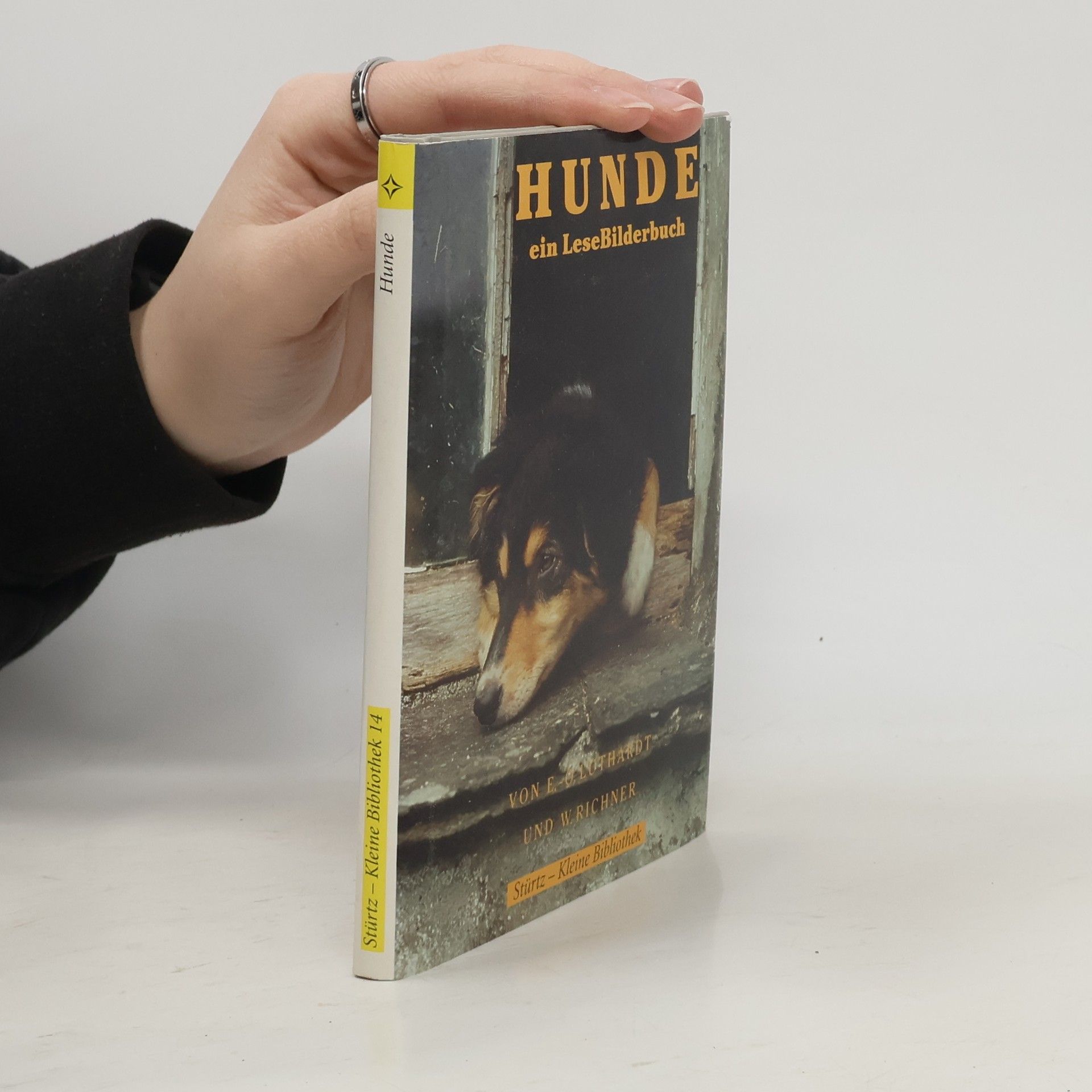 Collectif d'auteurs Hunde