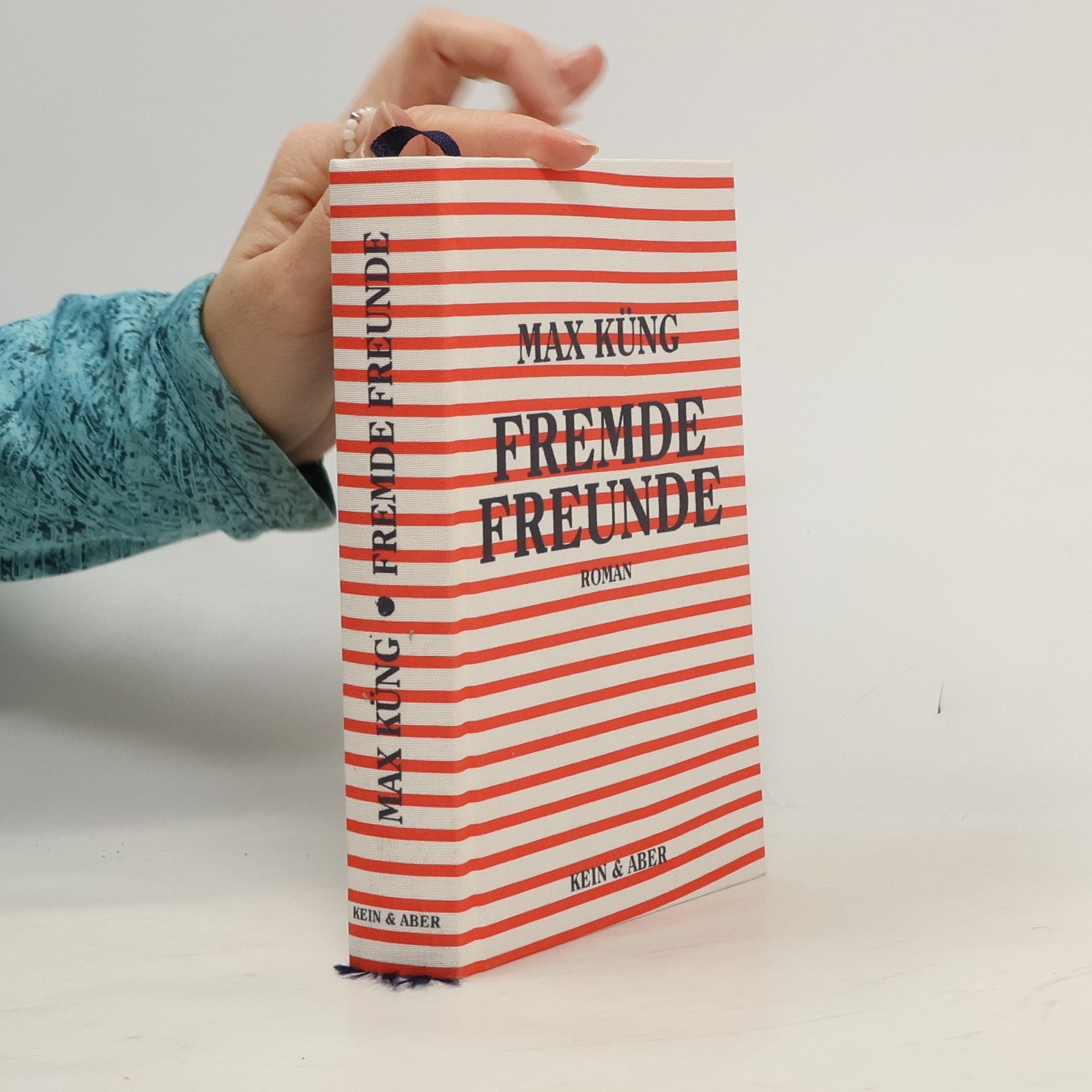 Max Küng Fremde Freunde