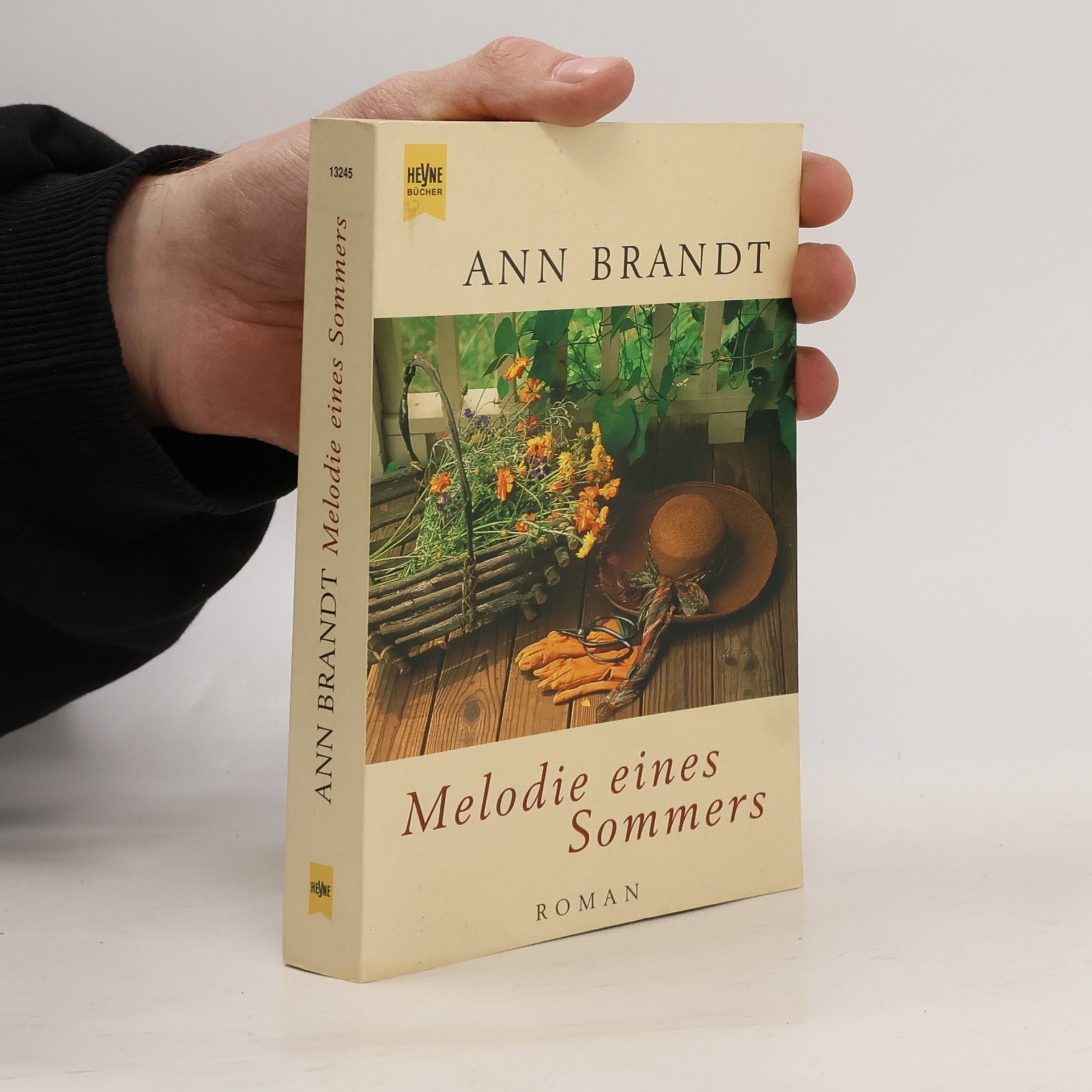 Ann Brandt Melodie eines Sommers