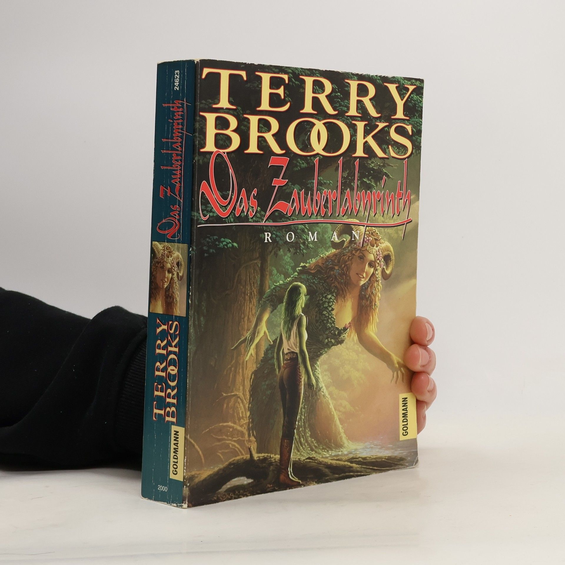 Terry Brooks Das Zauberlabyrinth