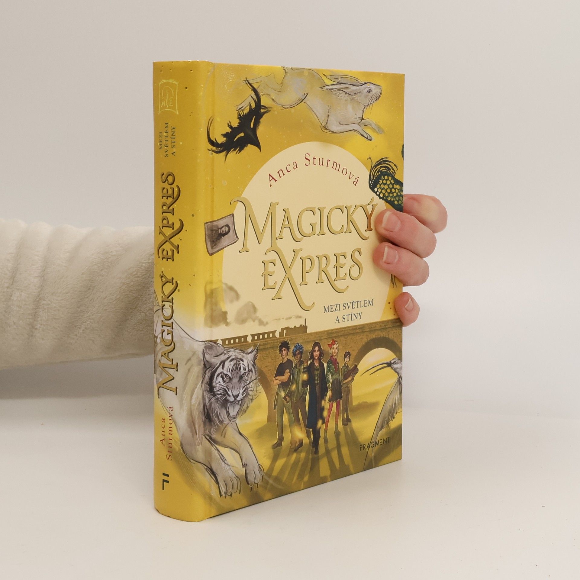 Anca Sturm Mezi světlem a stíny