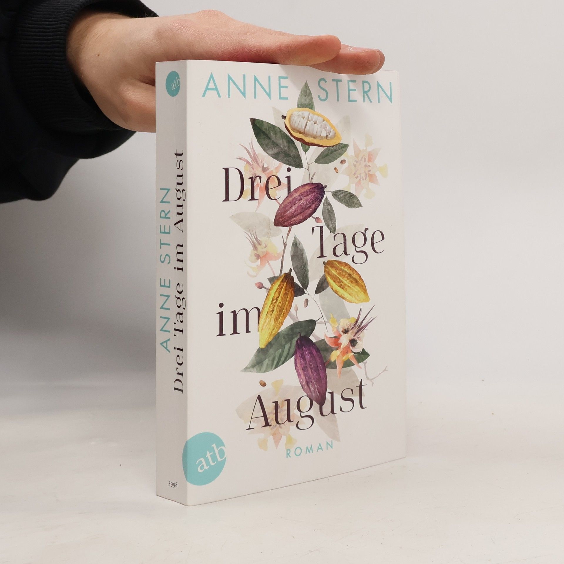 Anne Stern Drei Tage im August