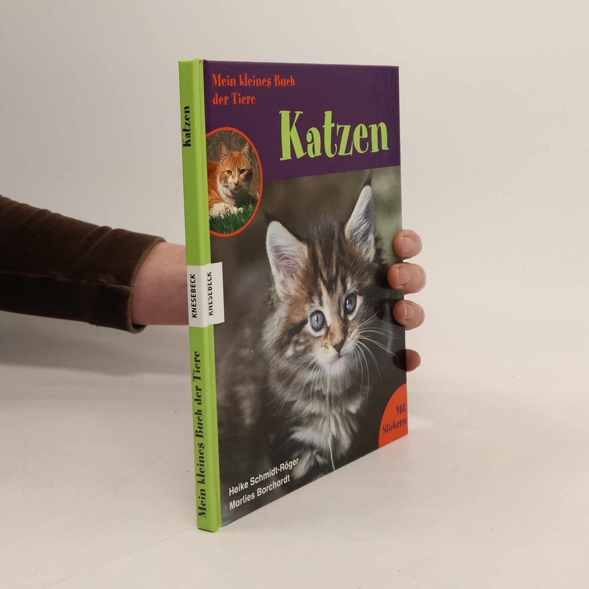 Heike Schmidt-Röger Katzen