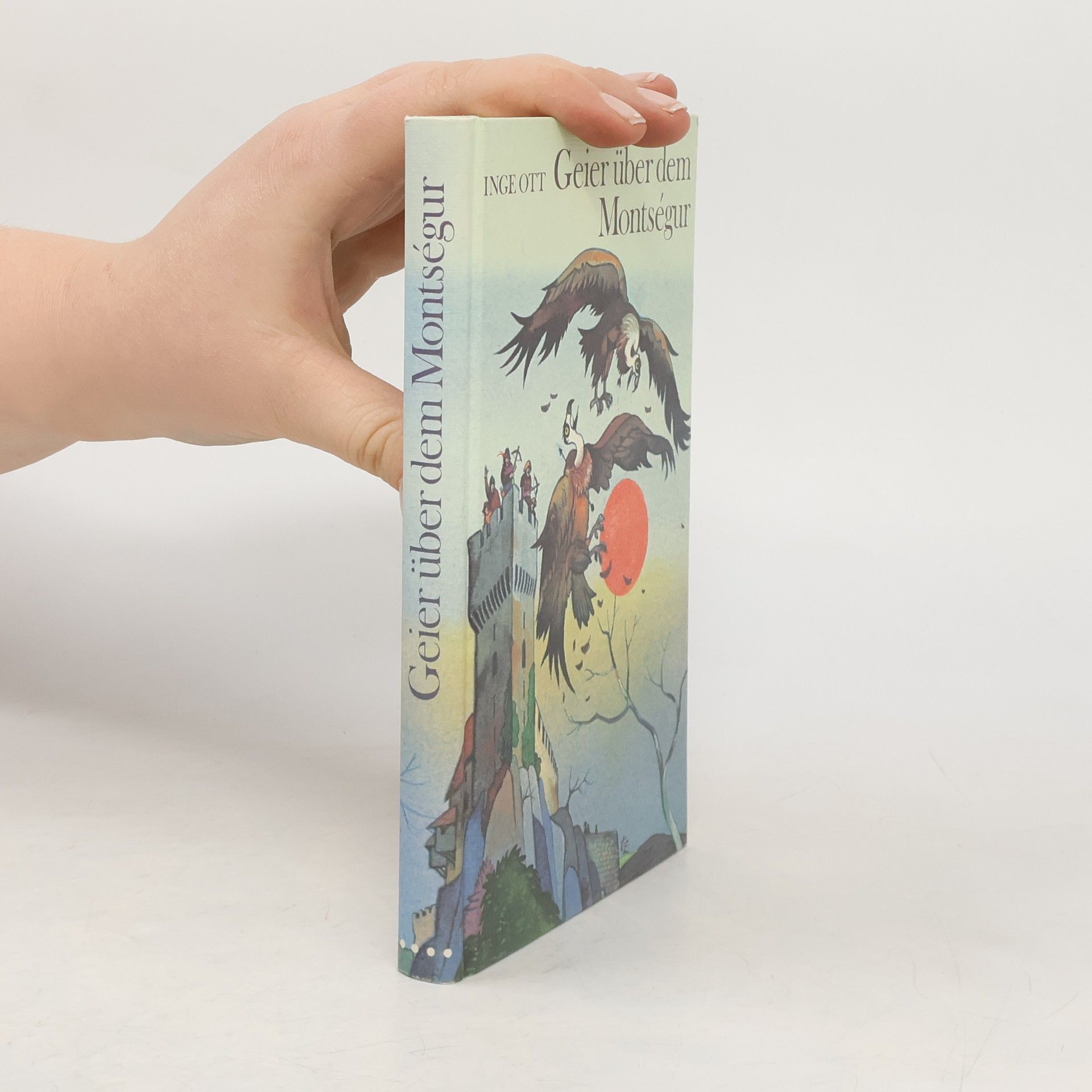 Inge Ott Geier über dem Montségur