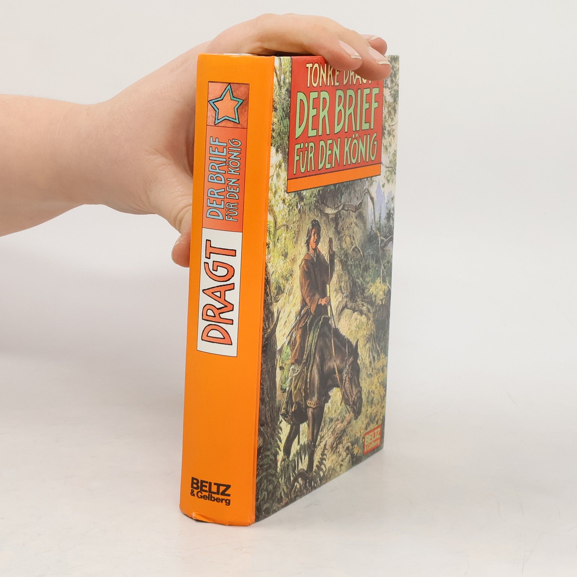 Tonke Dragt Der Brief für den König