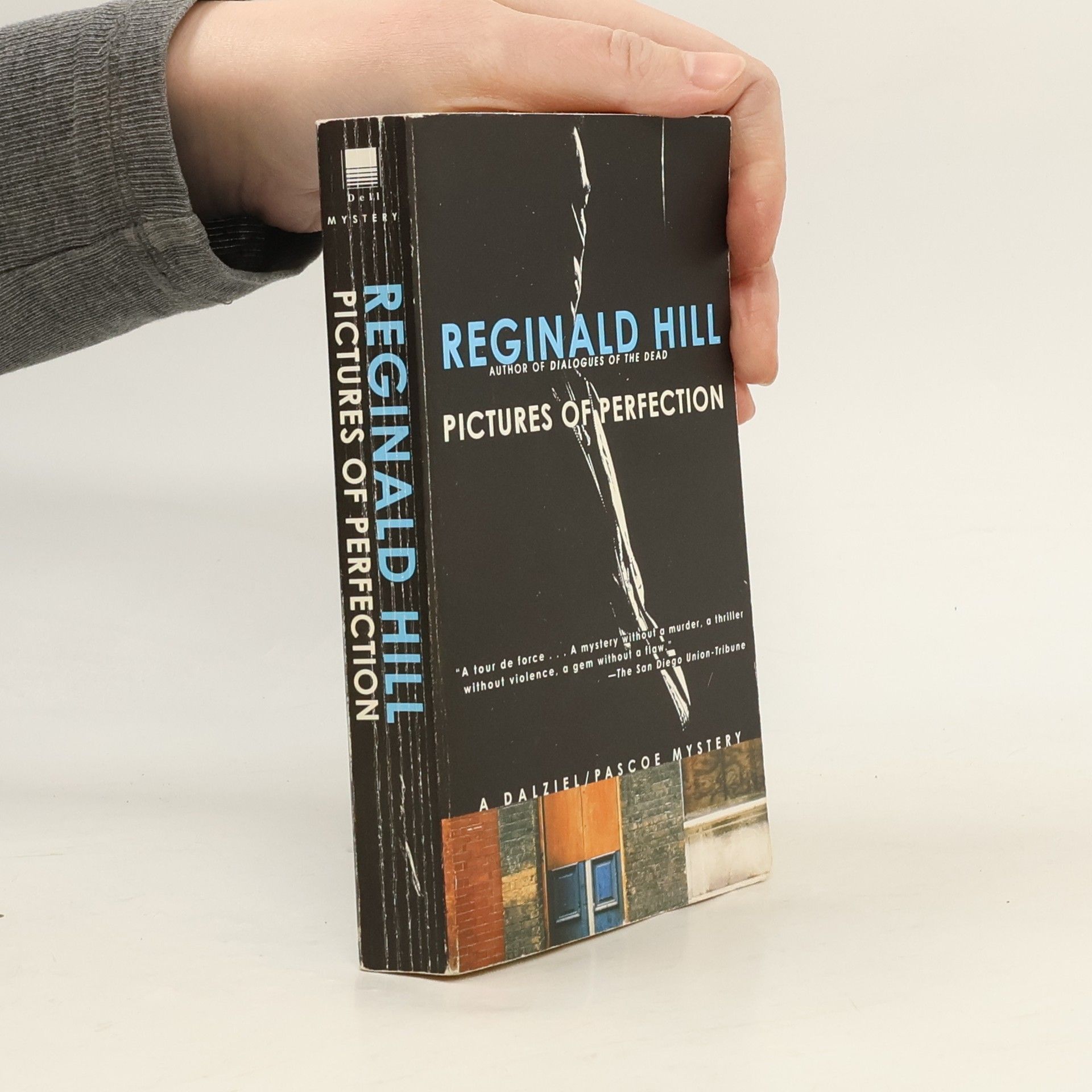 Reginald Hill Dalziel and Pascoe Mysteries - 14: Pictures of Perfection