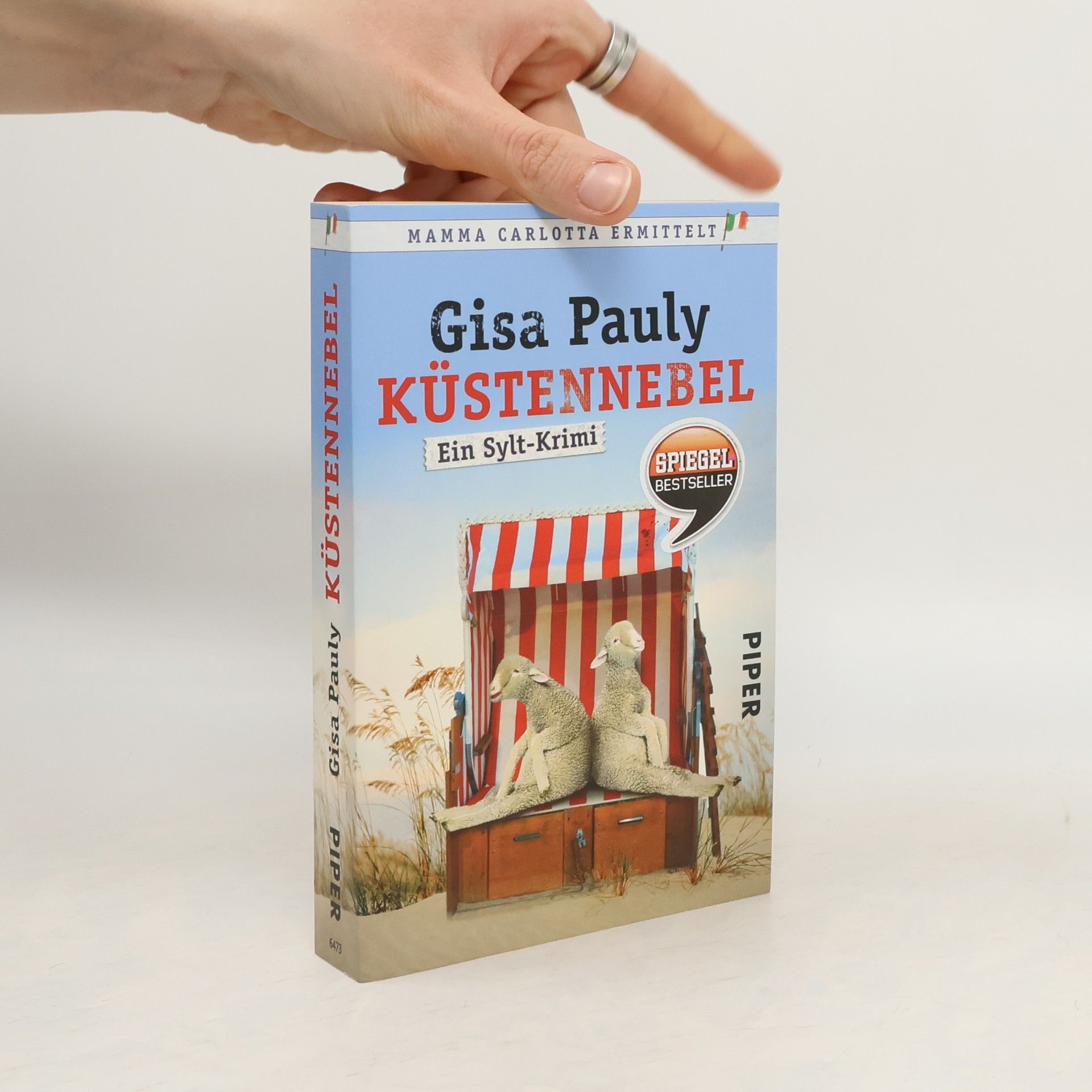Gisela Pauly Küstennebel