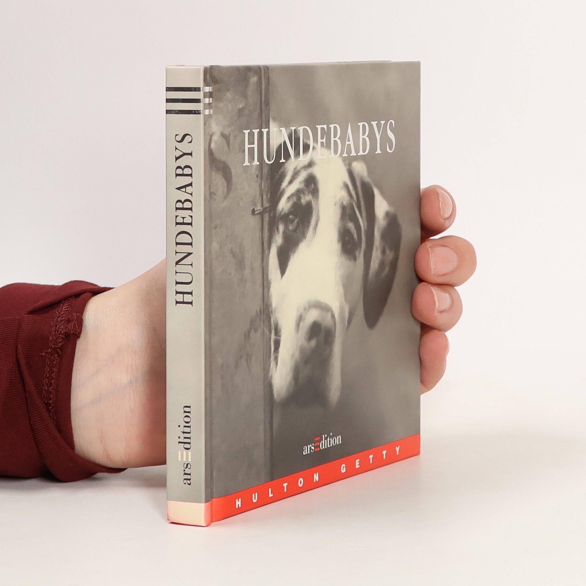 Isabelle Fuchs Hundebabys