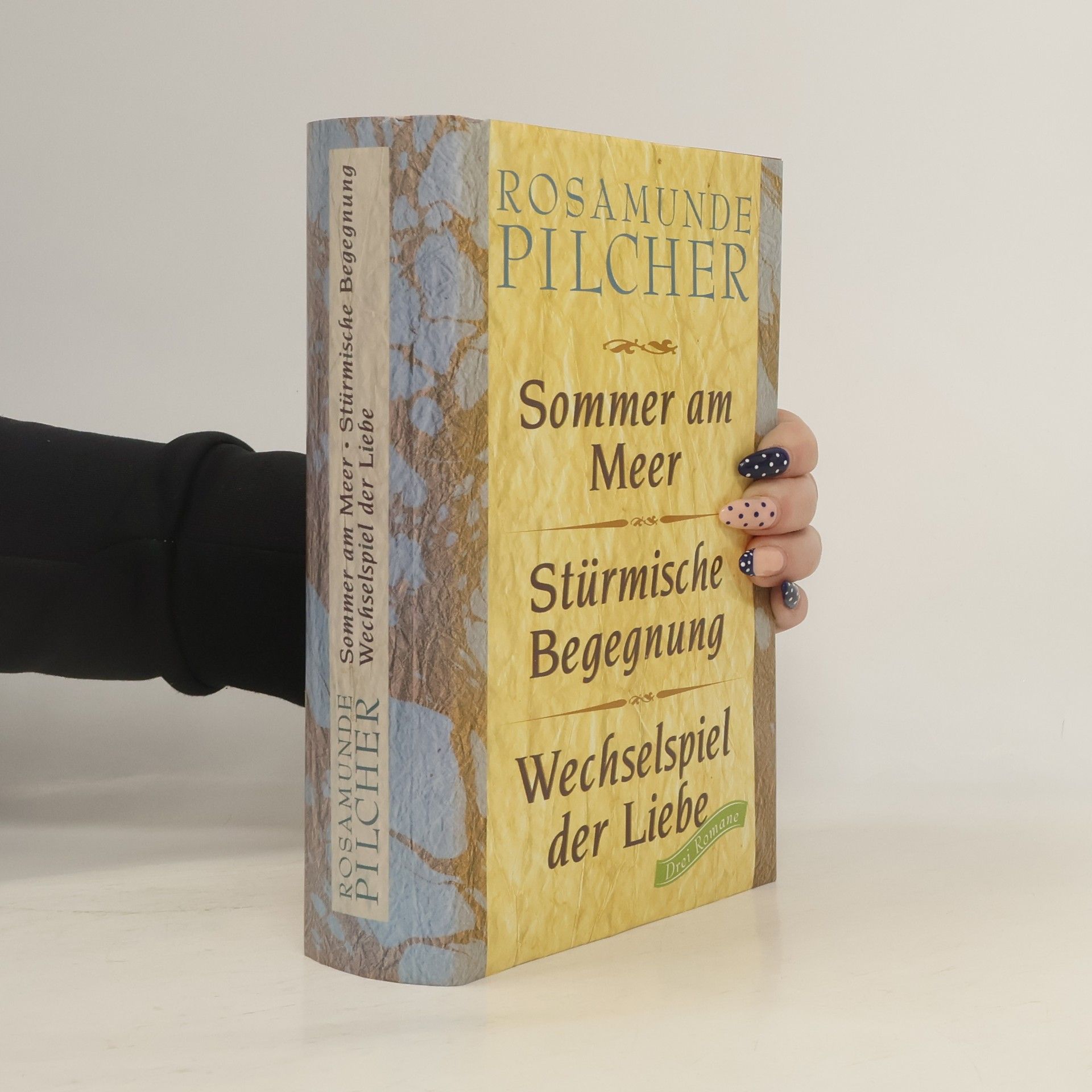 Rosamunde Pilcher Sommer am Meer. Stürmische Begegnung. Wechselspiel der Liebe