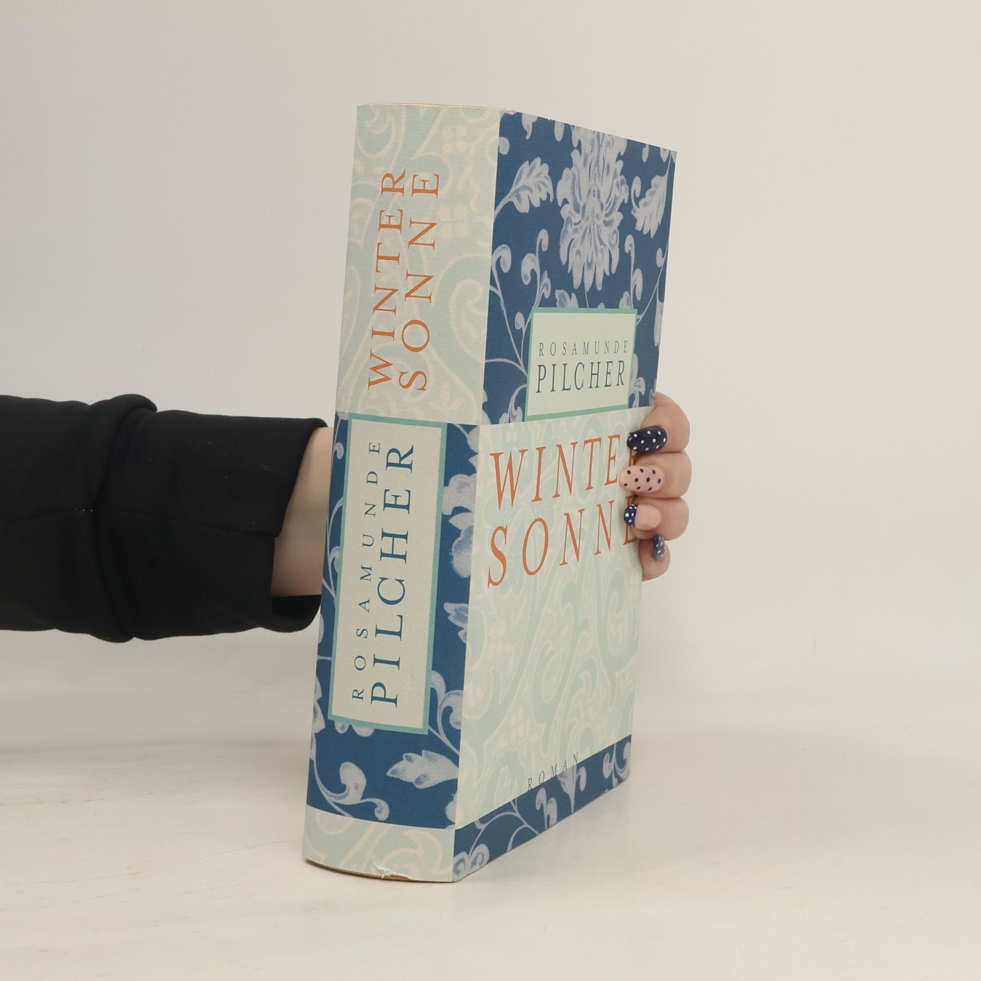 Rosamunde Pilcher Winter Sonne