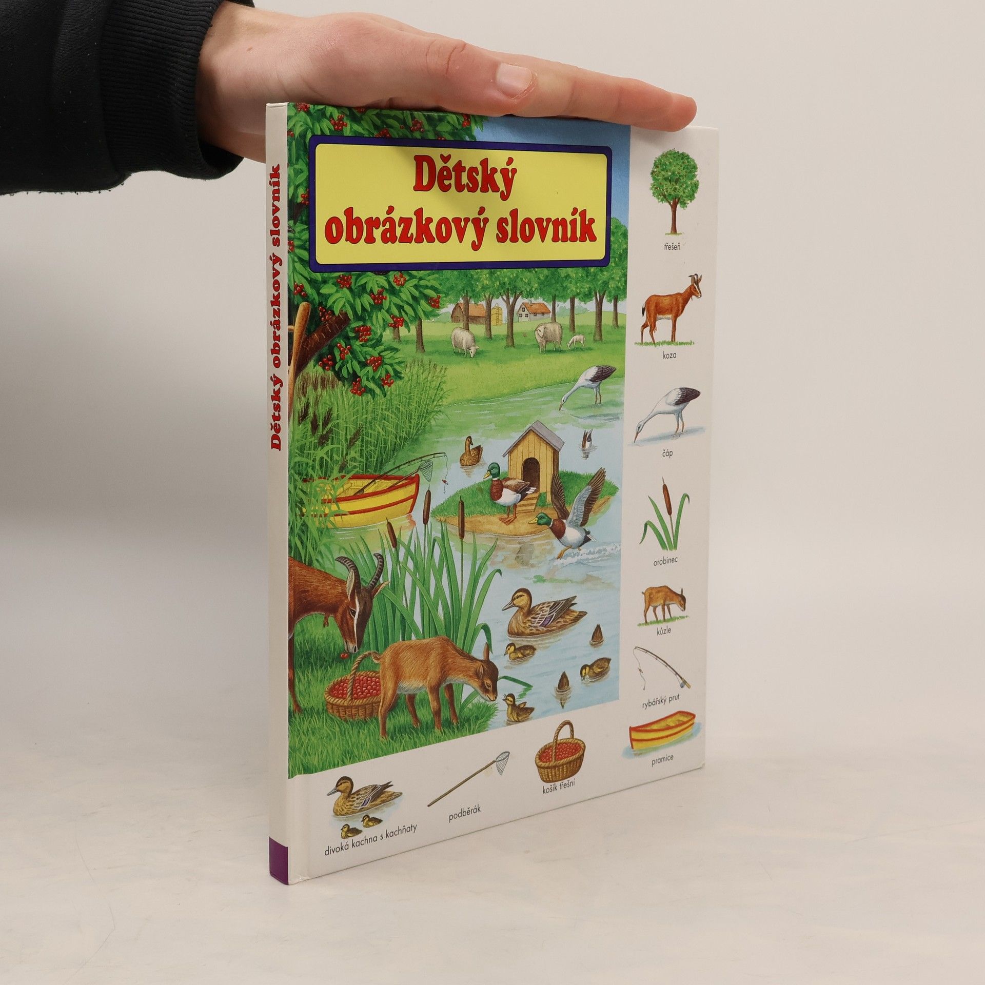 Gisela Fischer-Lingat Dětský obrázkový slovník