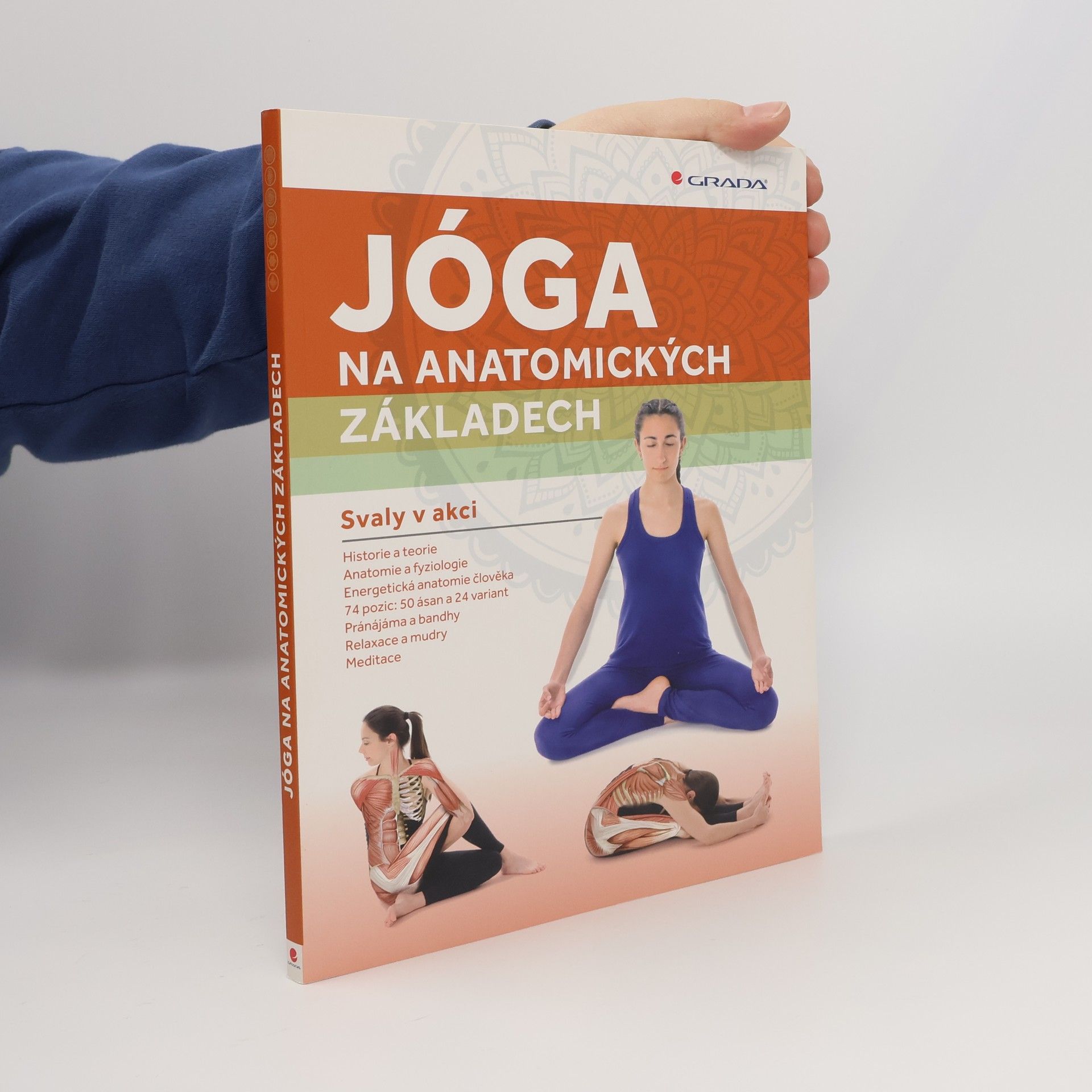 Mireia Patiño Coll Jóga na anatomických základech