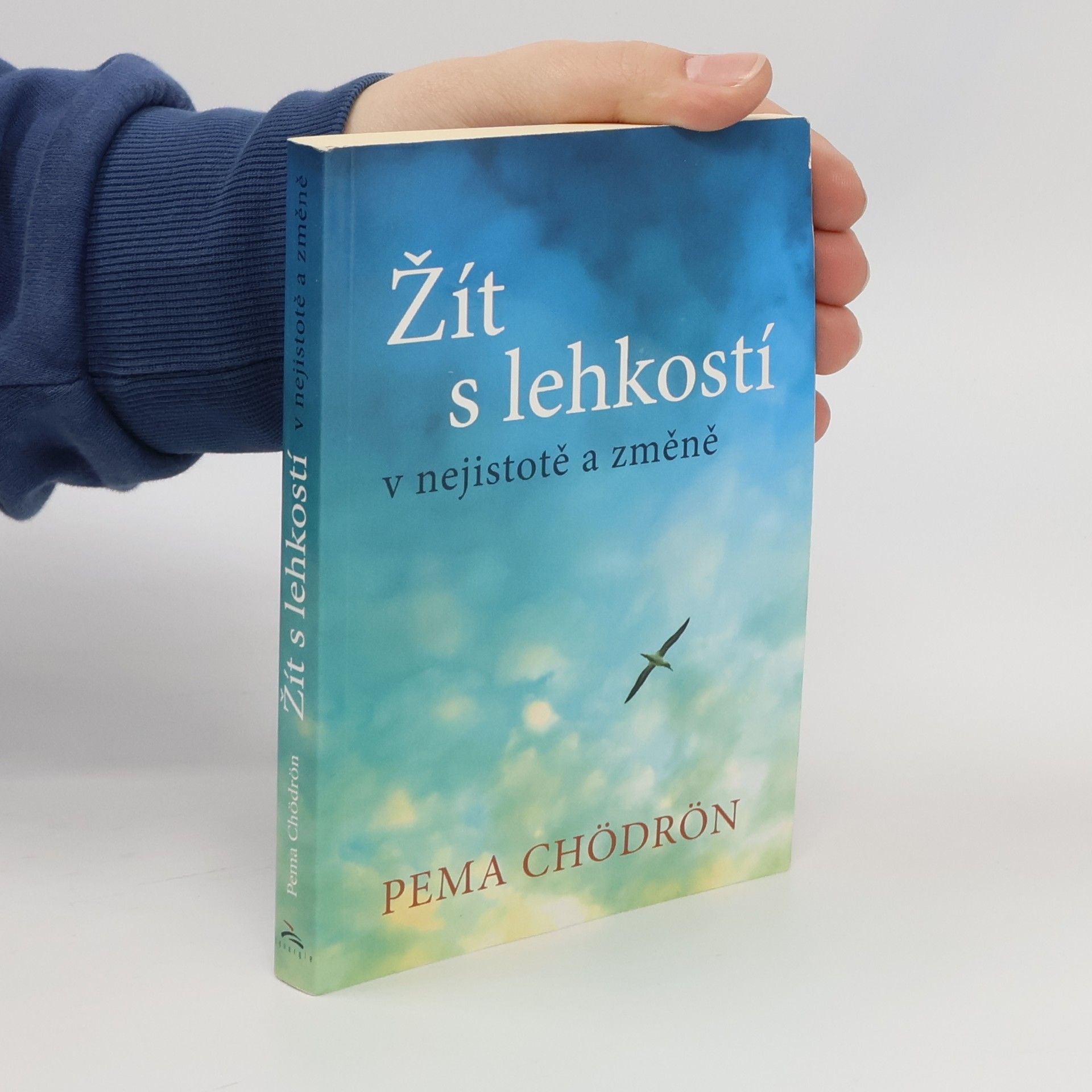 Pema Chödrön Žít s lehkostí