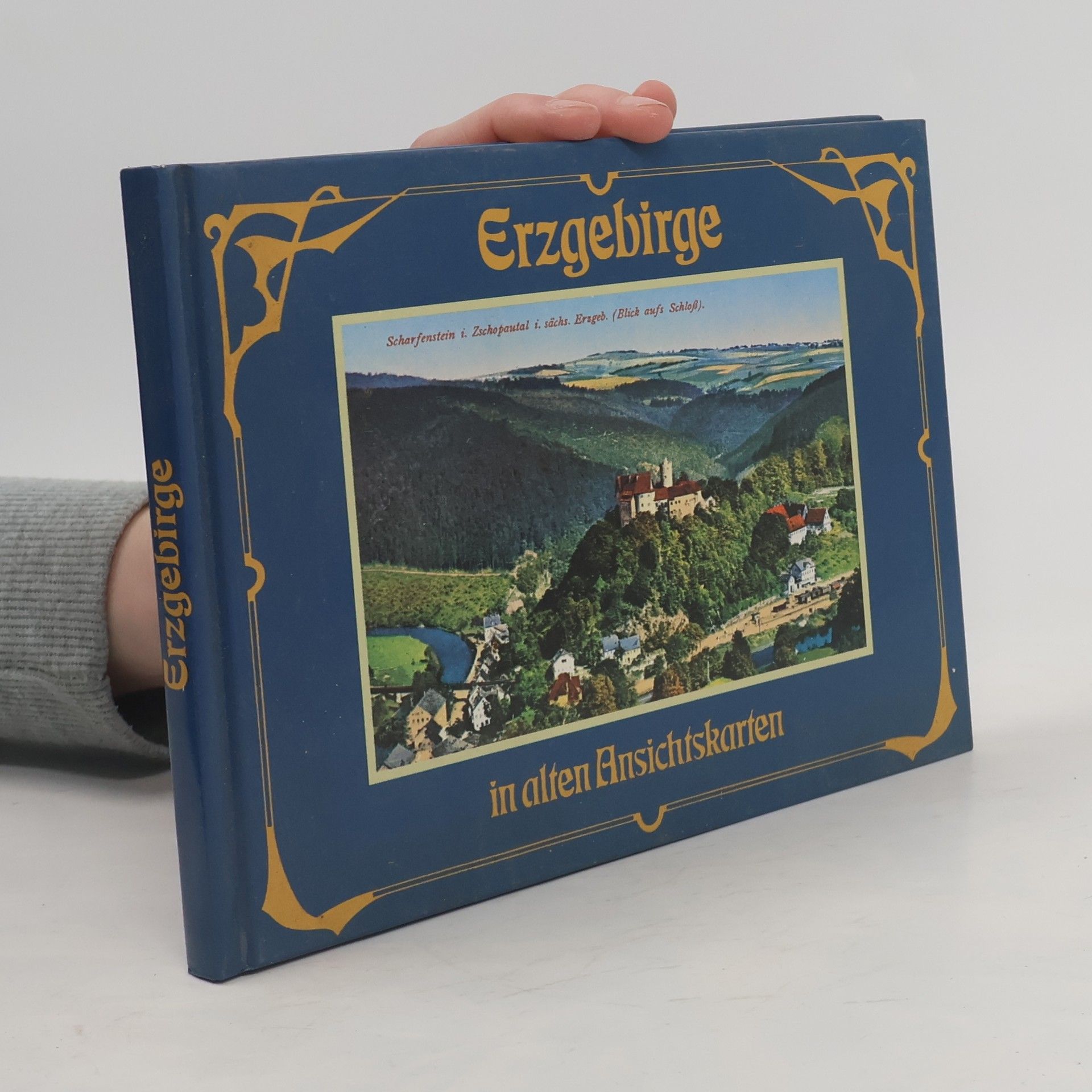 Werner Martin Dienel Erzgebirge in alten Ansichtskarten