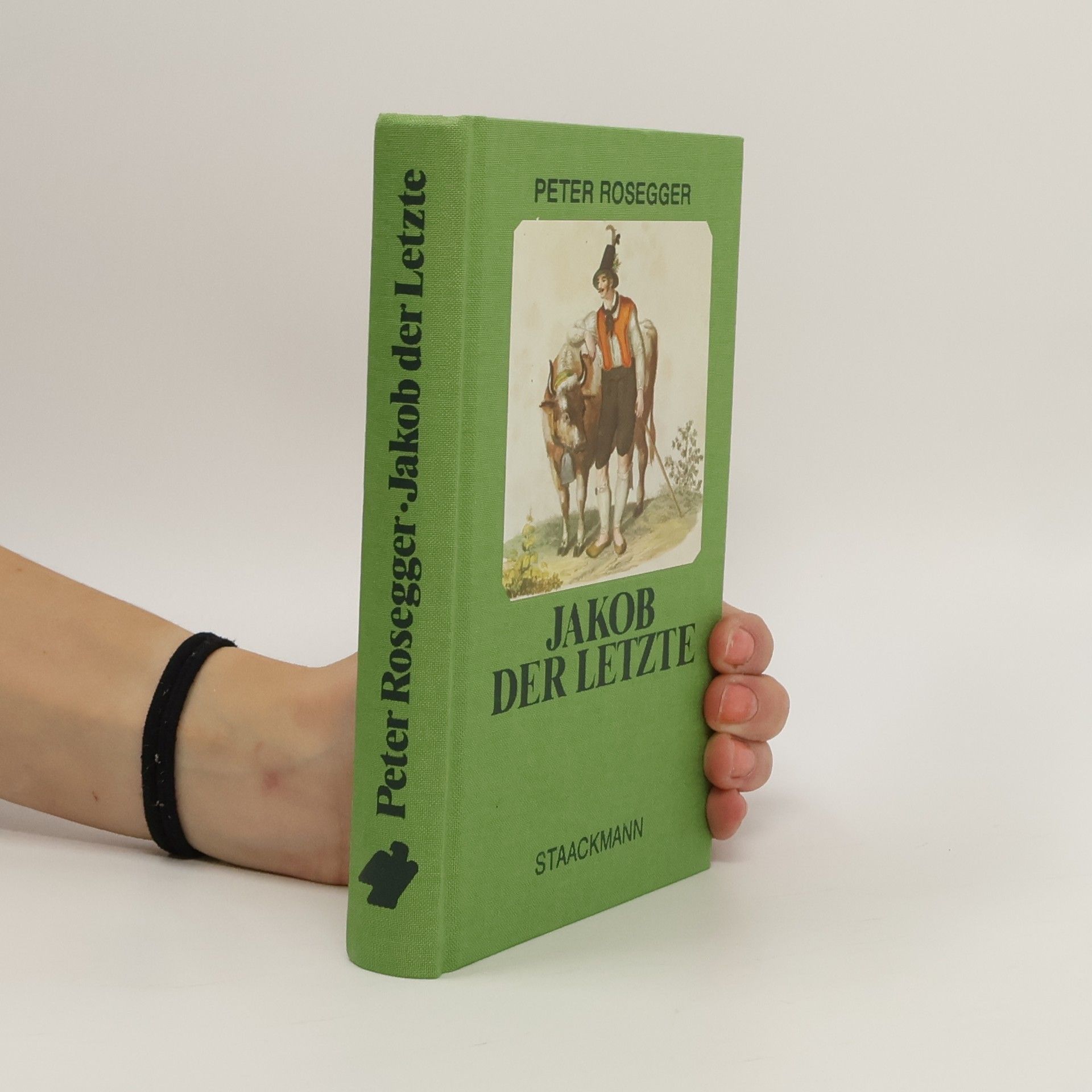Peter Rosegger Jakob der Letzte
