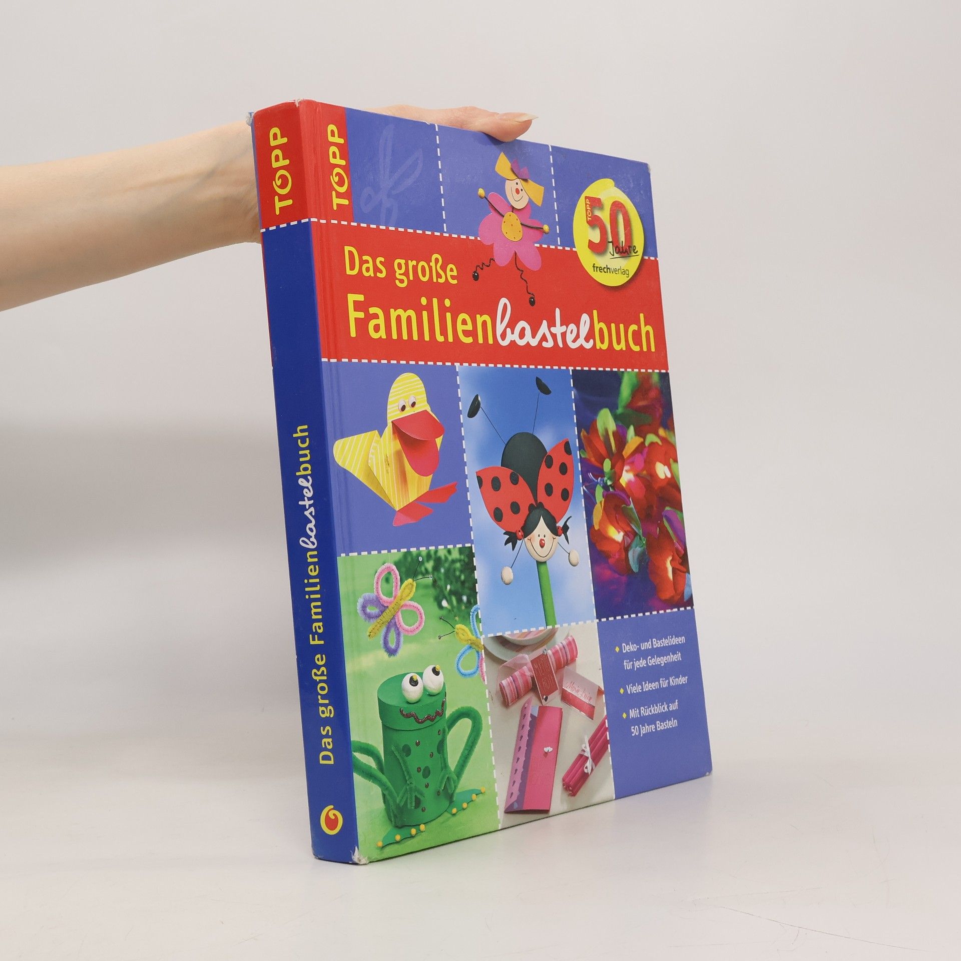 Annette Bayer Das große Familienbastelbuch
