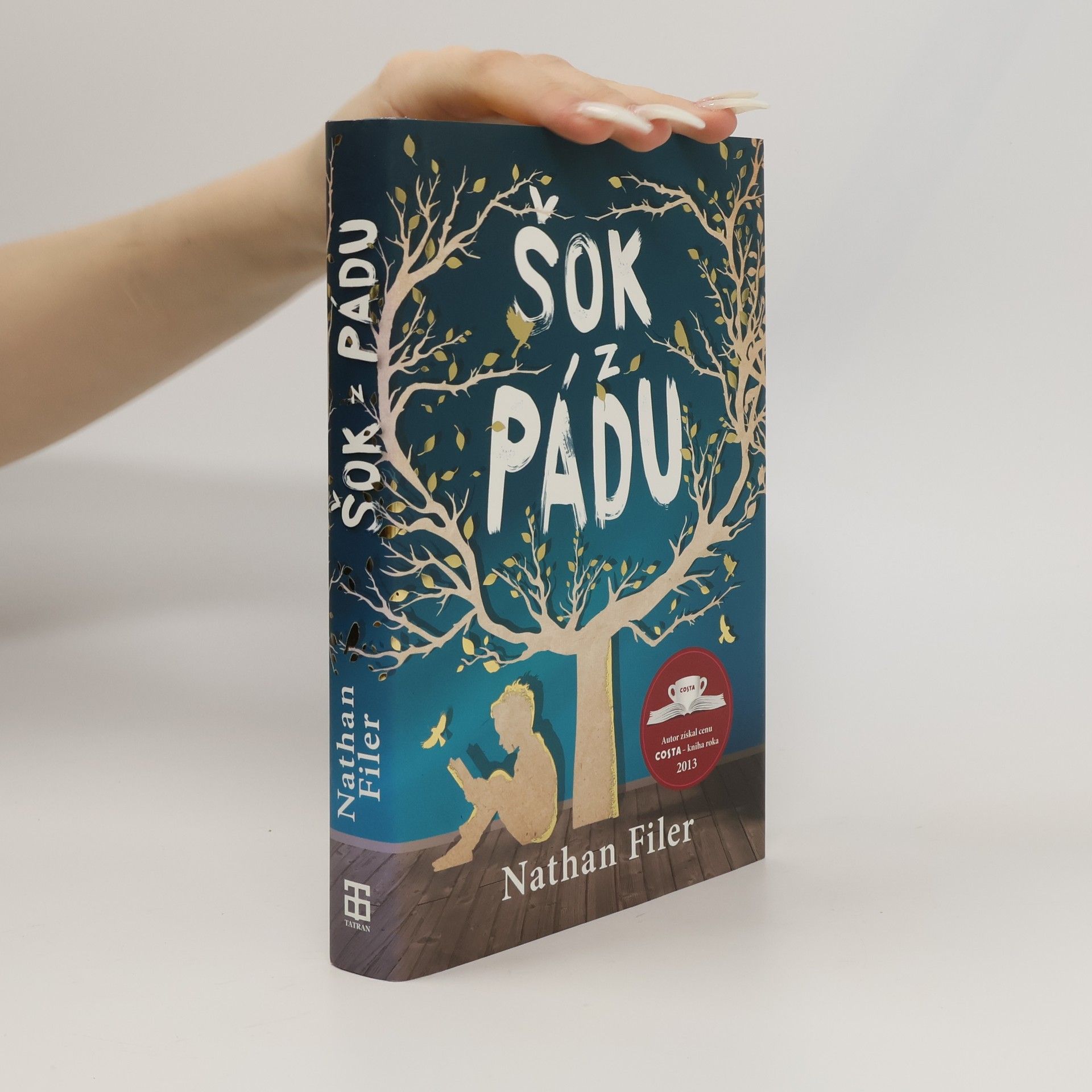 Nathan Filer Šok z pádu