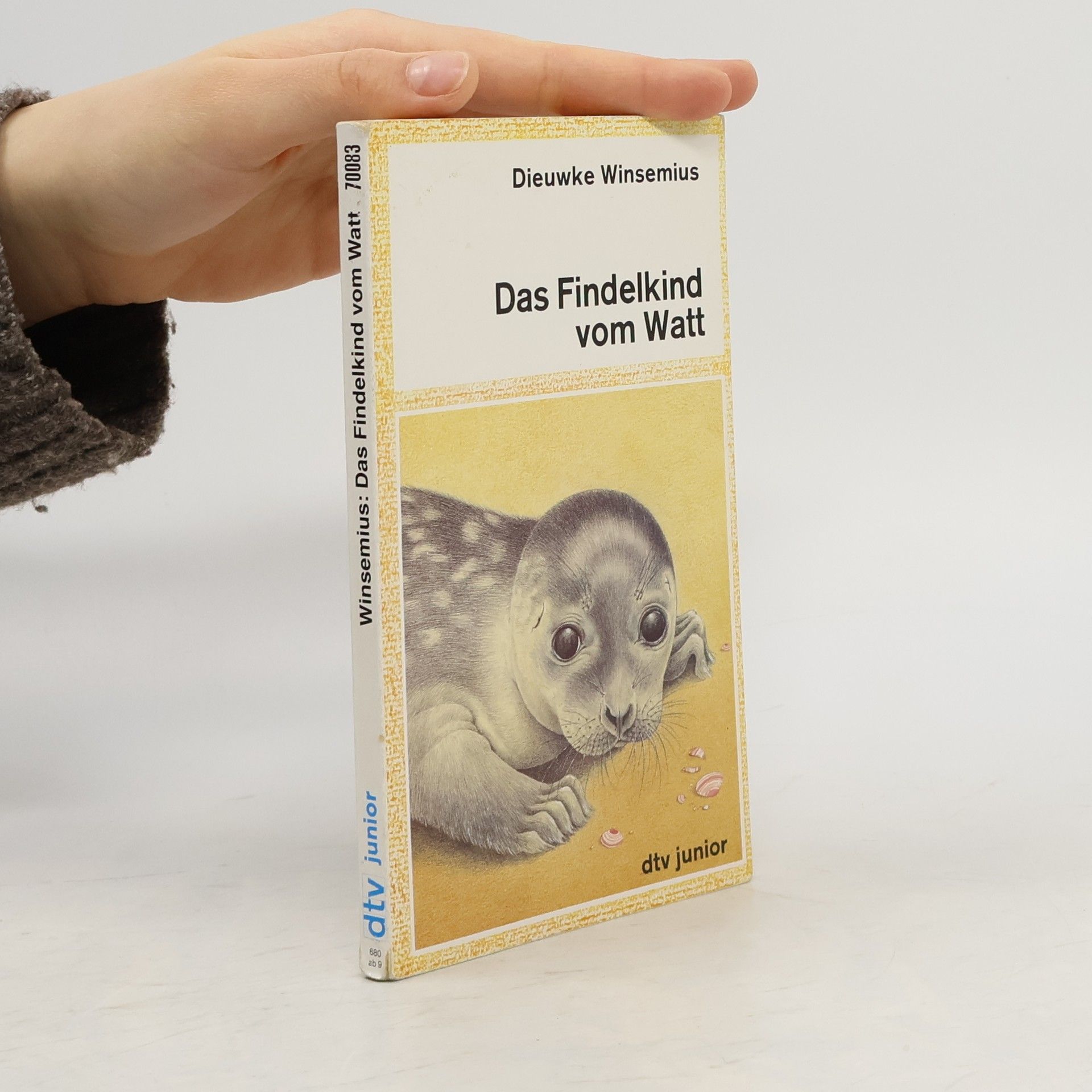 Dieuwke Winsemius Das Findelkind vom Watt