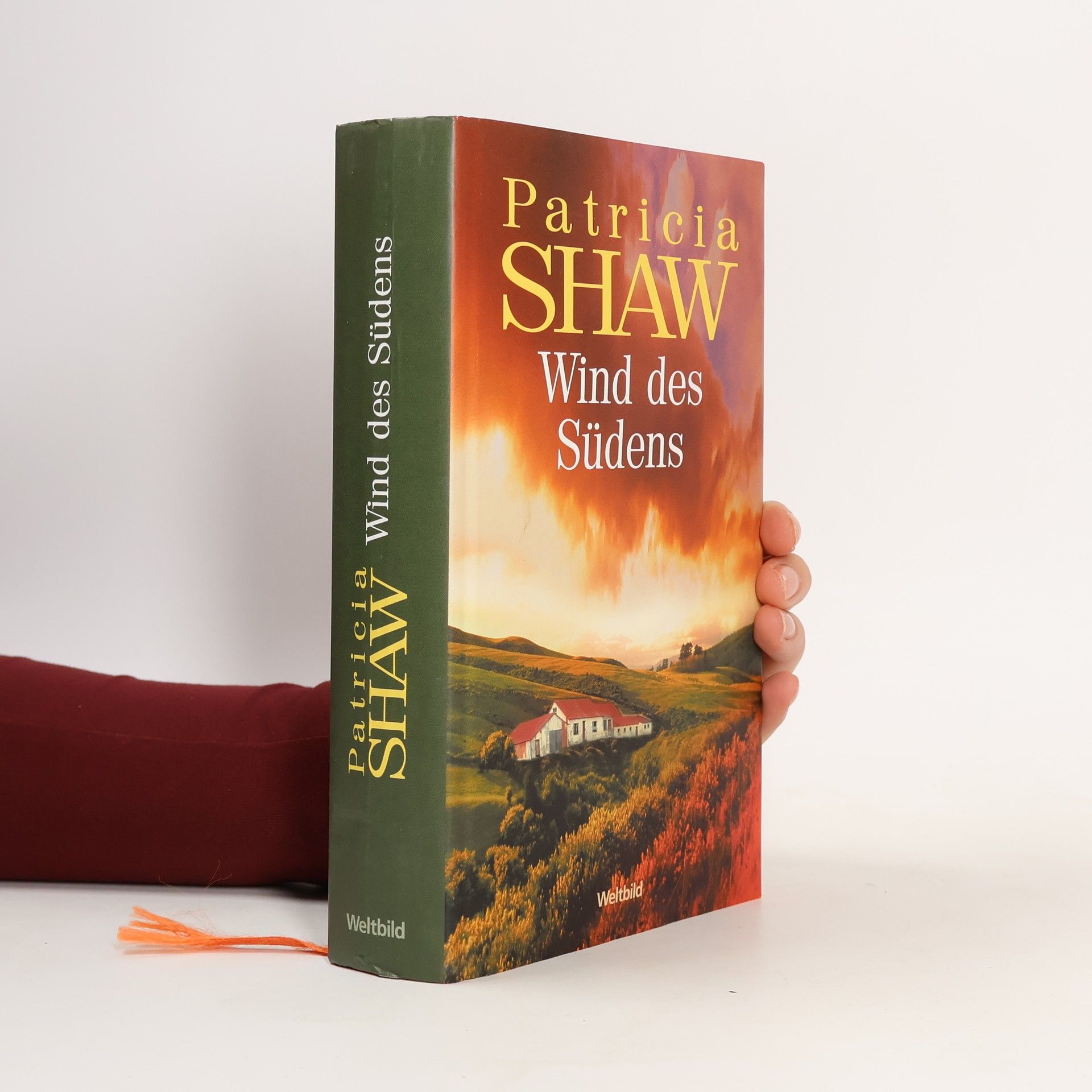 Patricia Shaw Wind des Südens