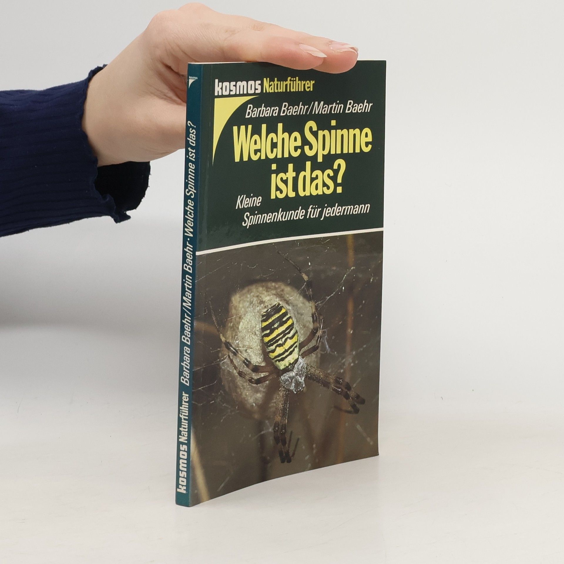 Barbara Baehr Welche Spinne ist das?