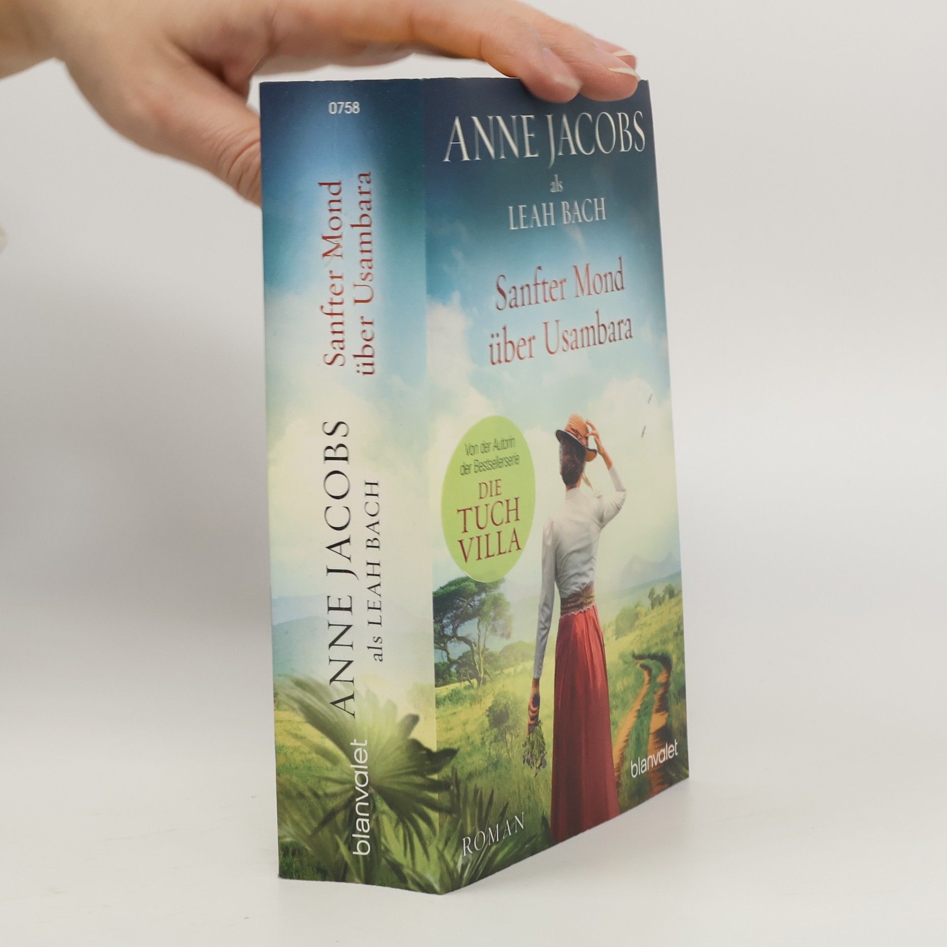 Anne Jacobs Sanfter Mond über Usambara