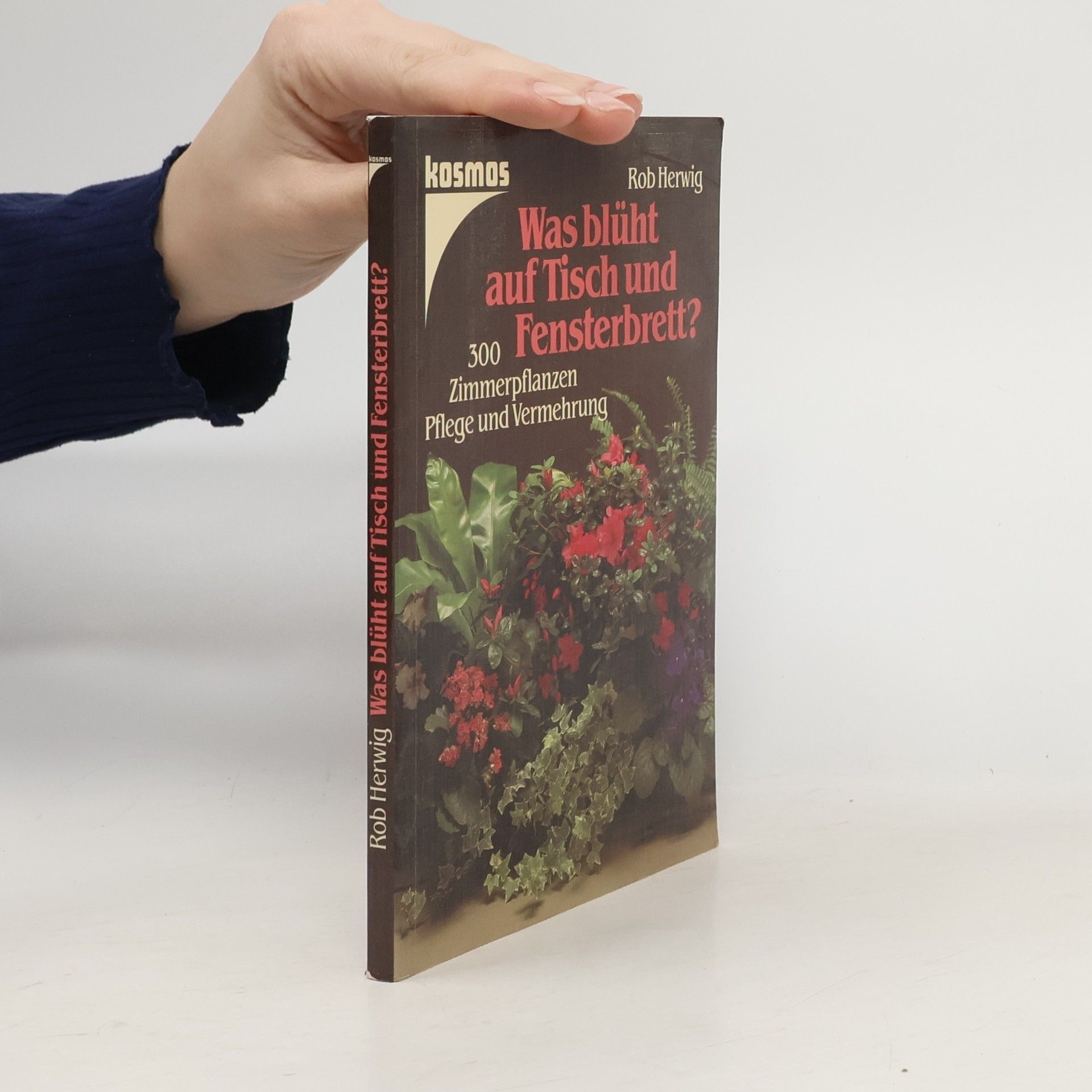 Rob Hewig Was blüht auf Tisch und Fensterbrett?