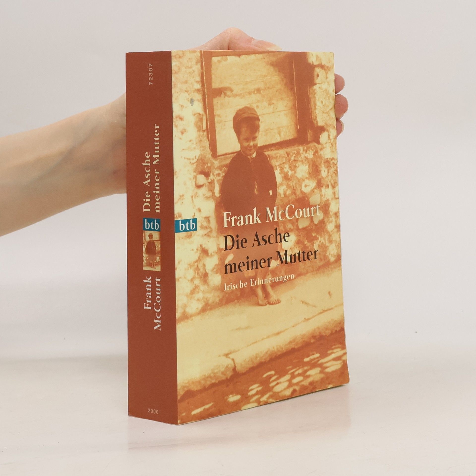 Frank McCourt Die Asche meiner Mutter