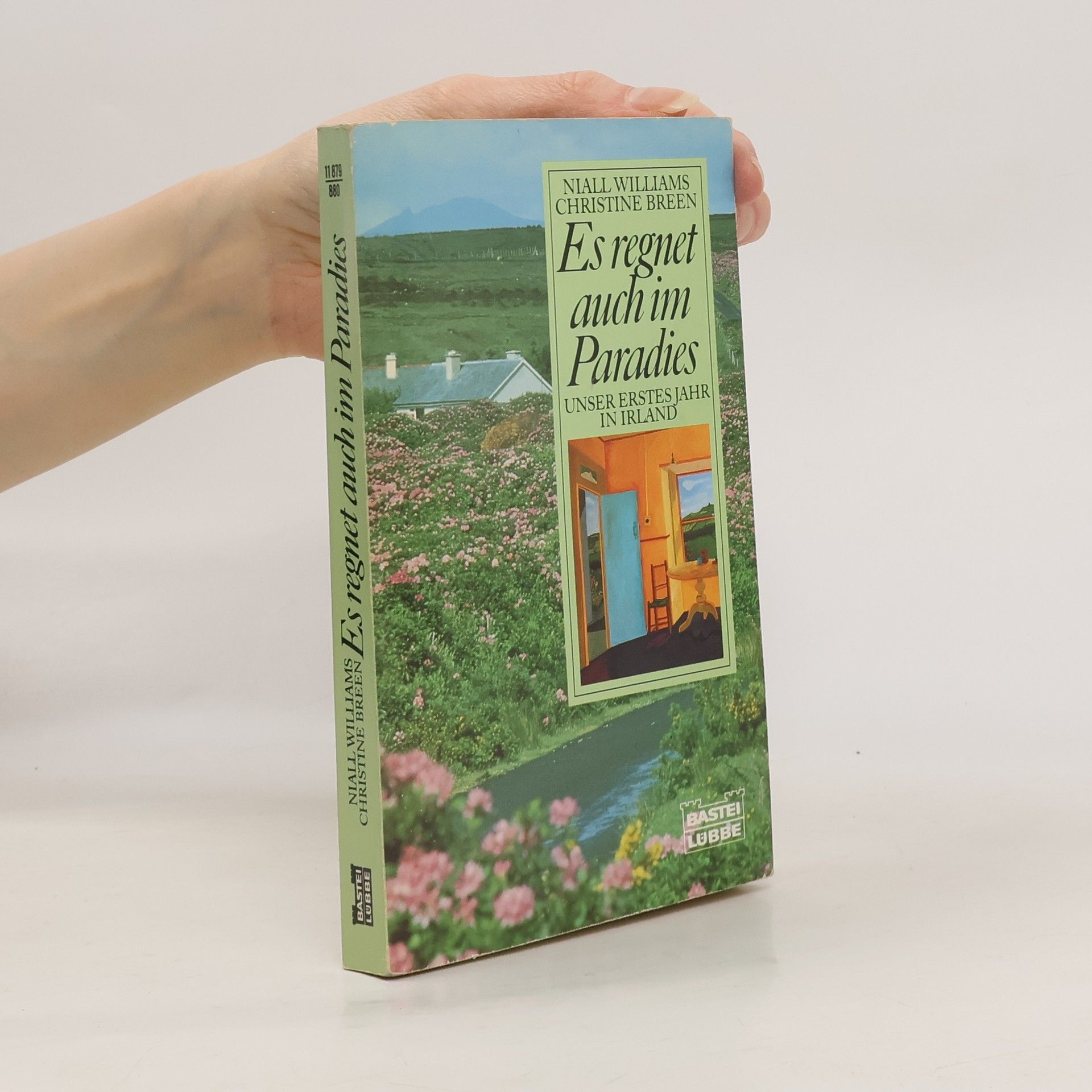 Niall Williams Es regnet auch im Paradies. Unser erstes Jahr in Irland