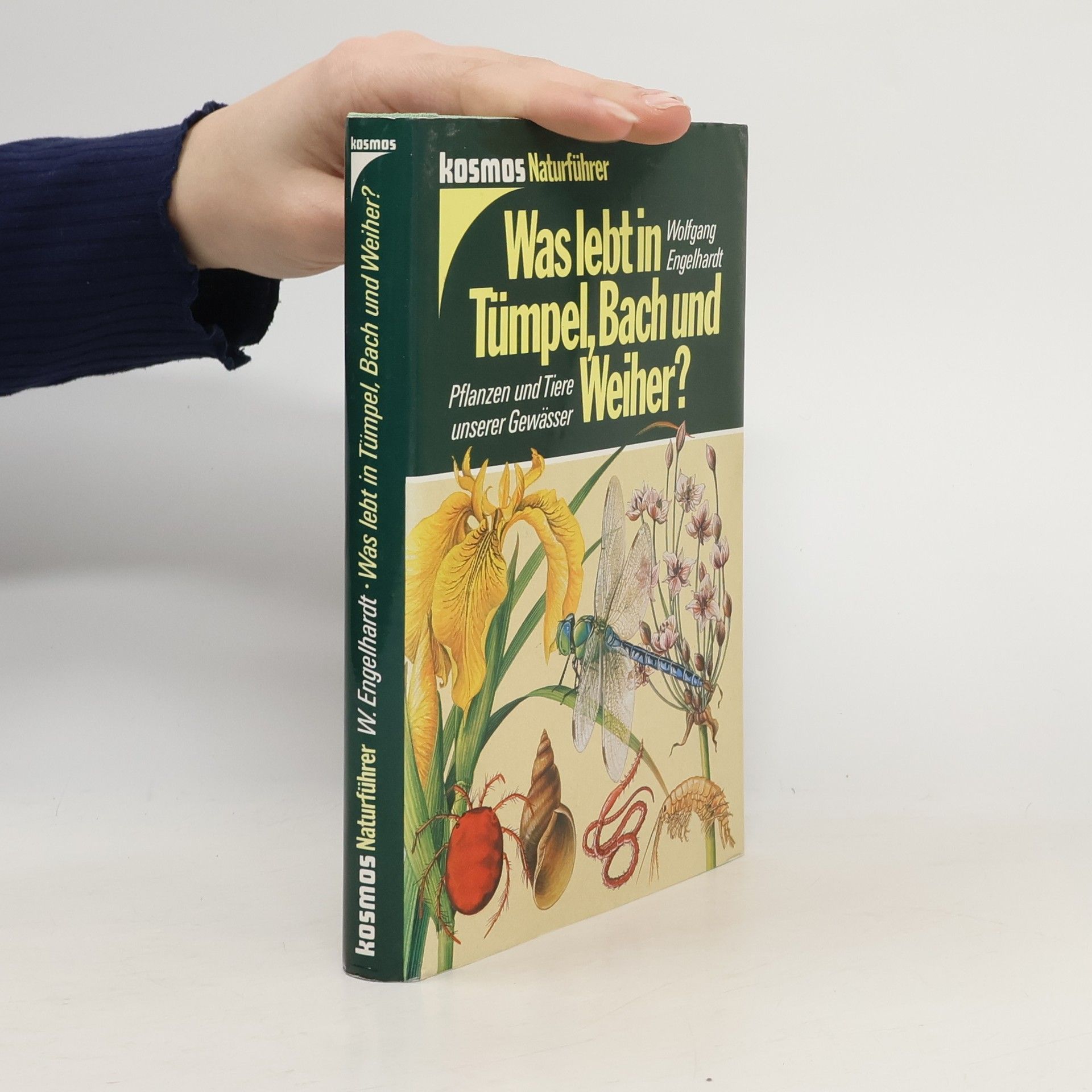 Was lebt in Tümpel, Bach und Weiher? : Pflanzen und Tiere unserer Gewässer