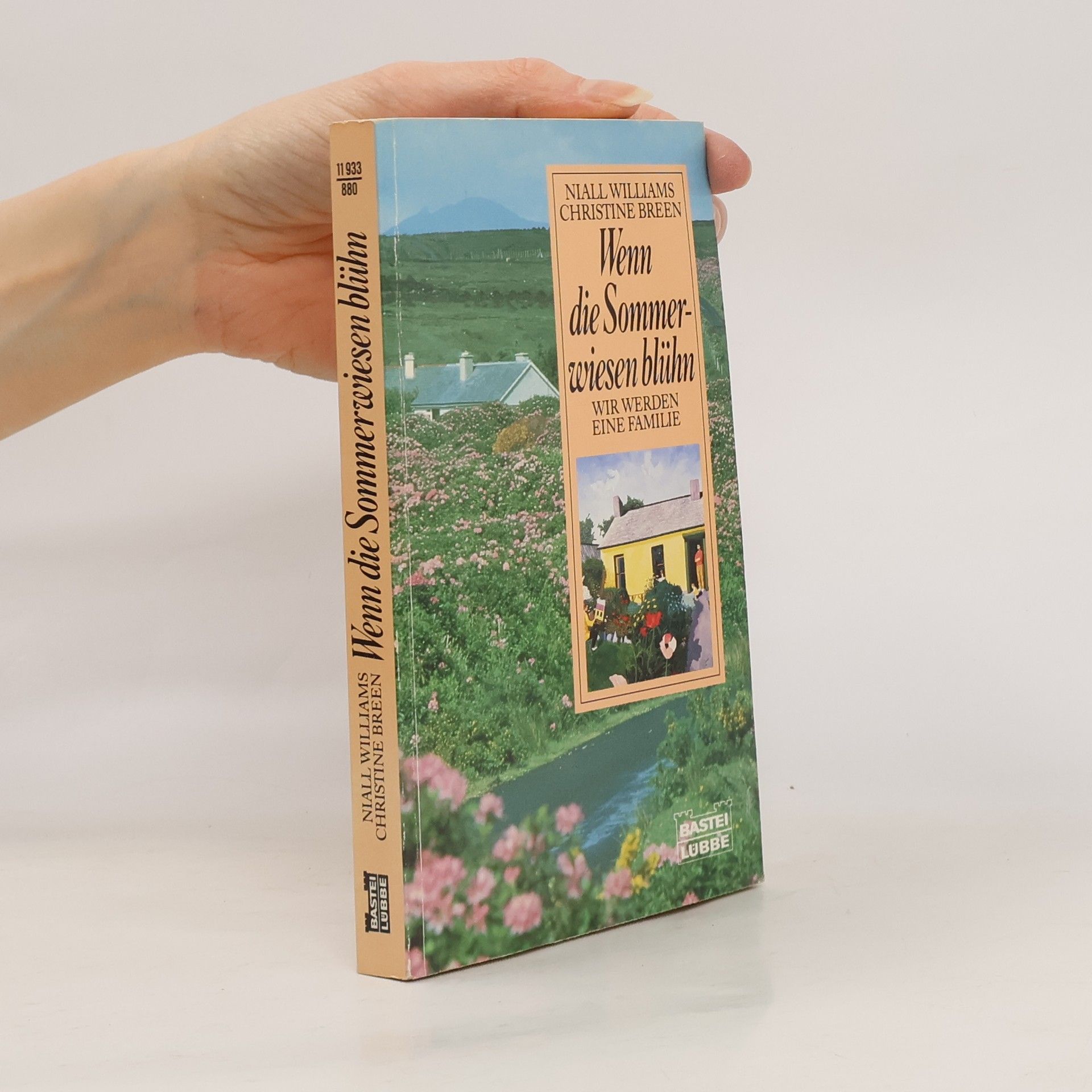 Niall Williams Wenn die Sommerwiesen blühn