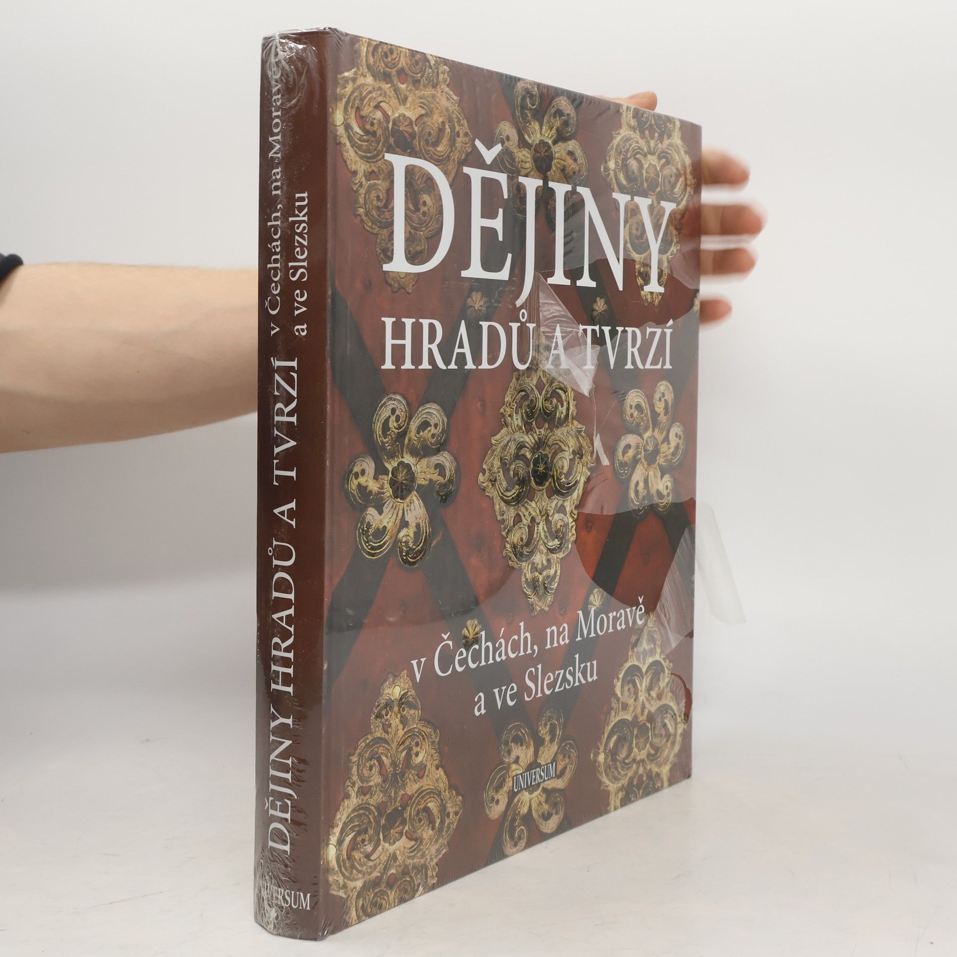 Petr David Dějiny hradů a tvrzí v Čechách, na Moravě a ve Slezsku