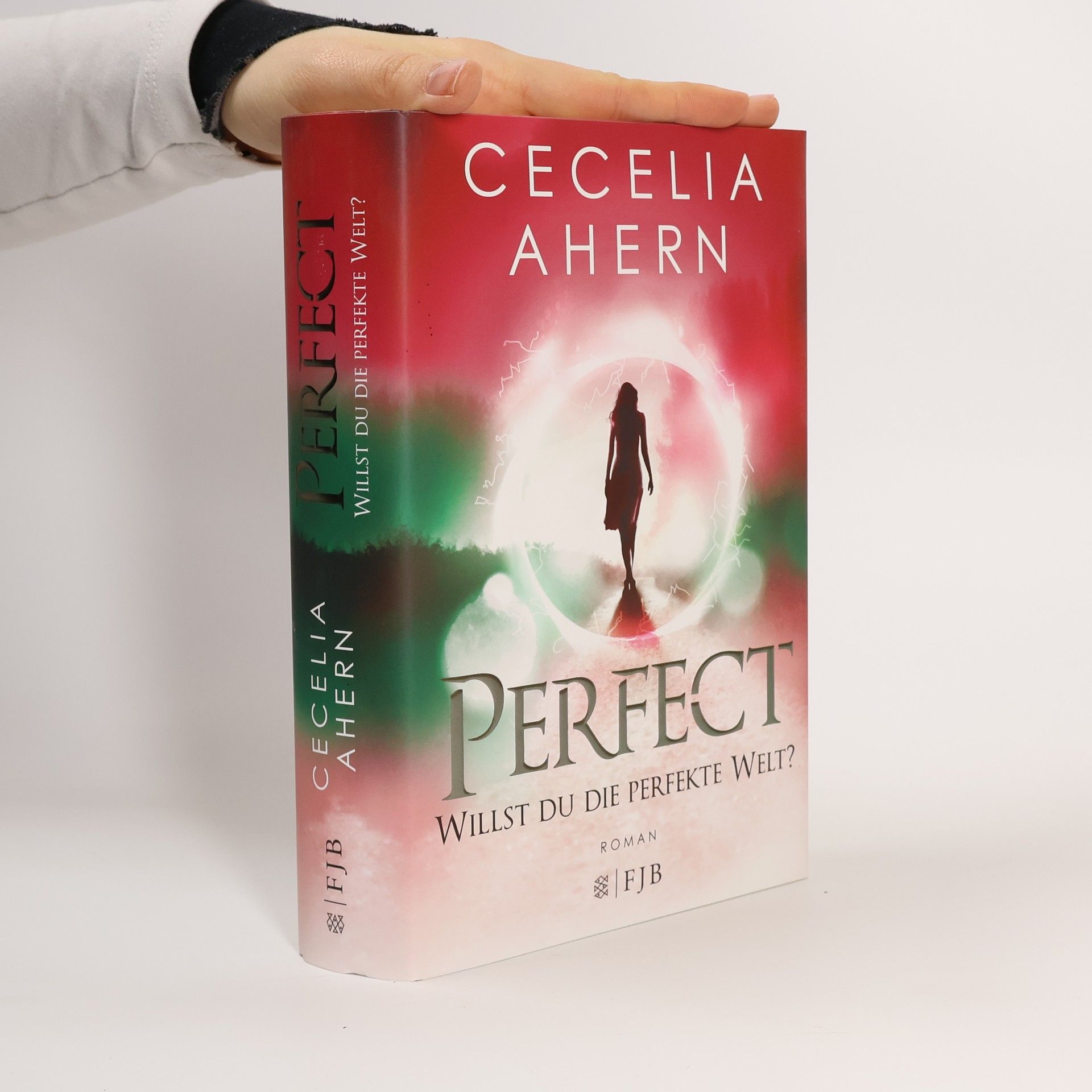 Cecelia Ahern Perfect - willst du die perfekte Welt?