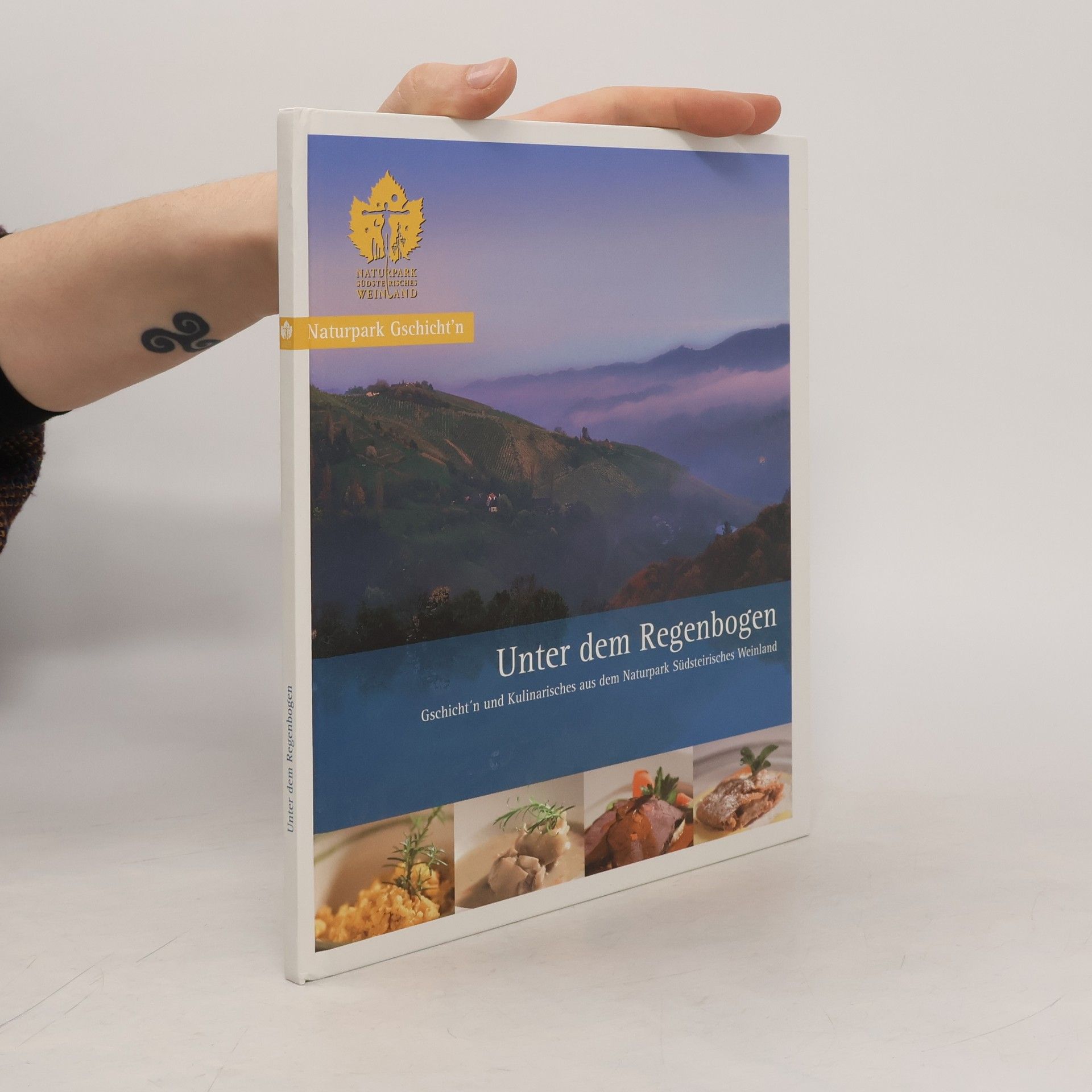 Kolektiv autorů Unter dem Regenbogen