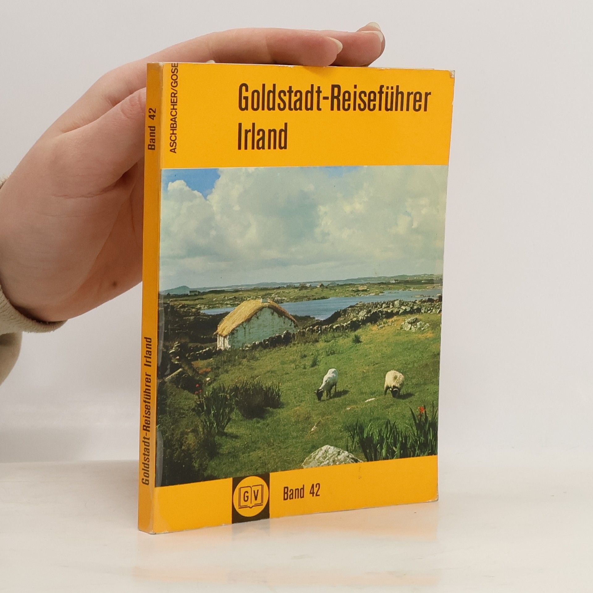 Autores varios Goldstadt-Reiseführer Irland, Band 42